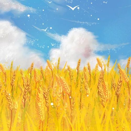 8.23-8.29周运|12星座宝宝们快来领取一周好运吧!