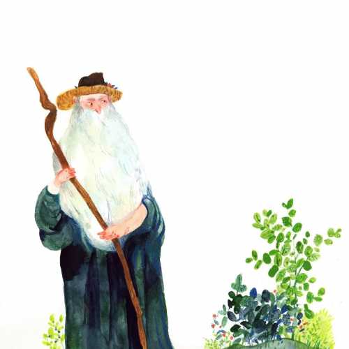 本周运势最旺的几大星座!