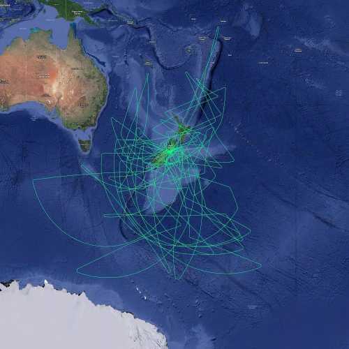 在万米高空和南纬43.5度的天文观测