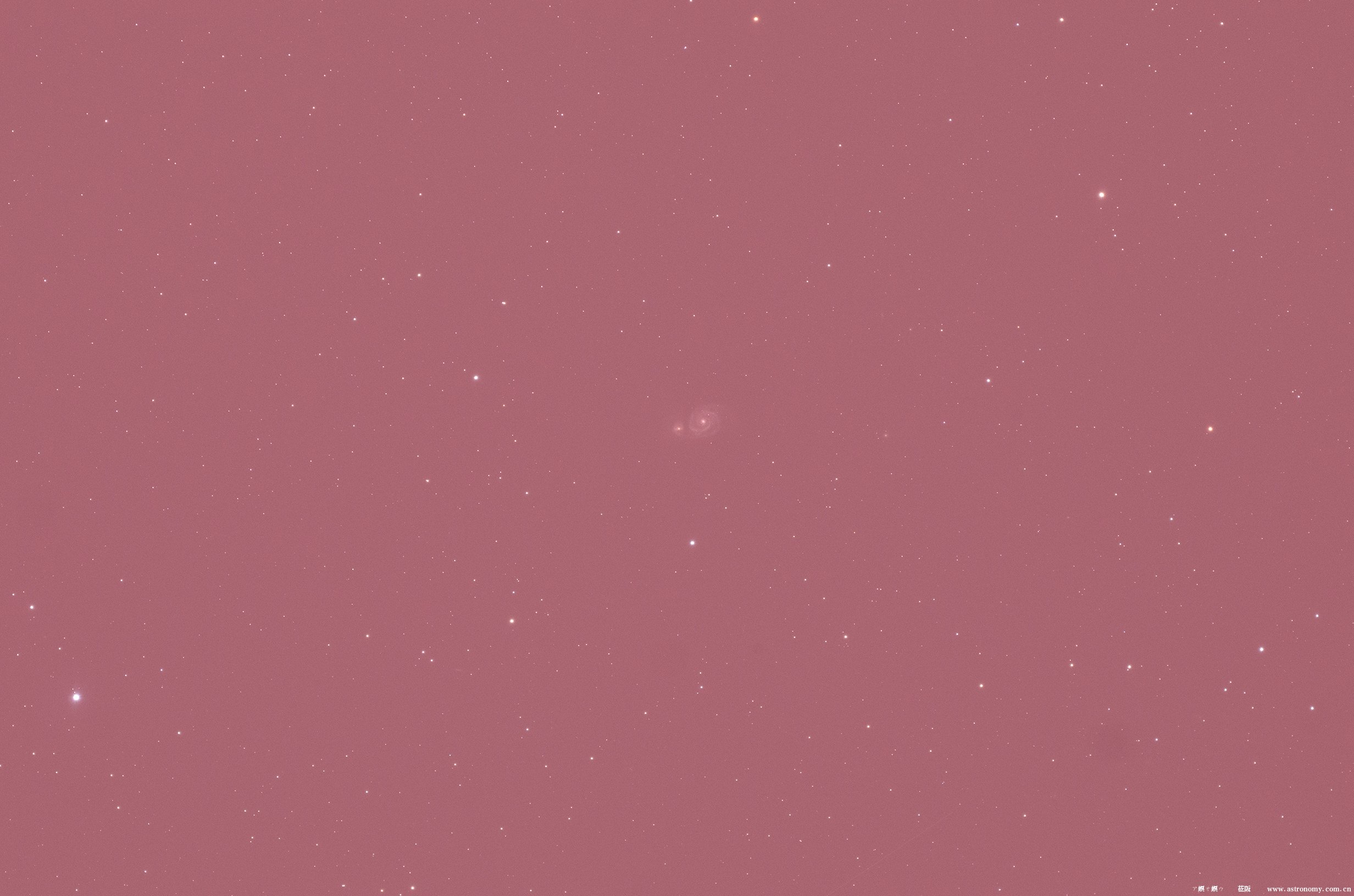 DSC_0788_bin2.jpg