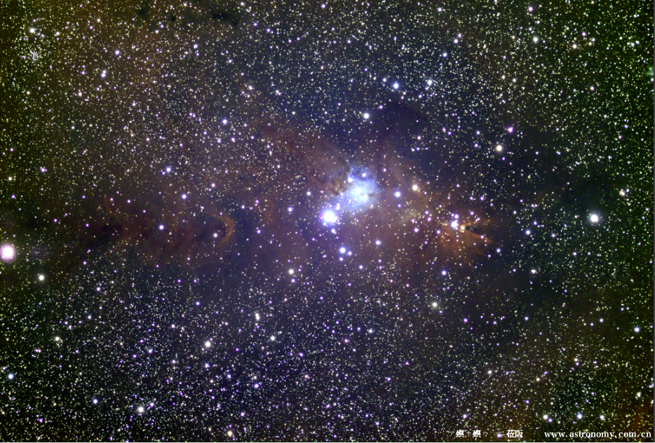 NGC2264.png