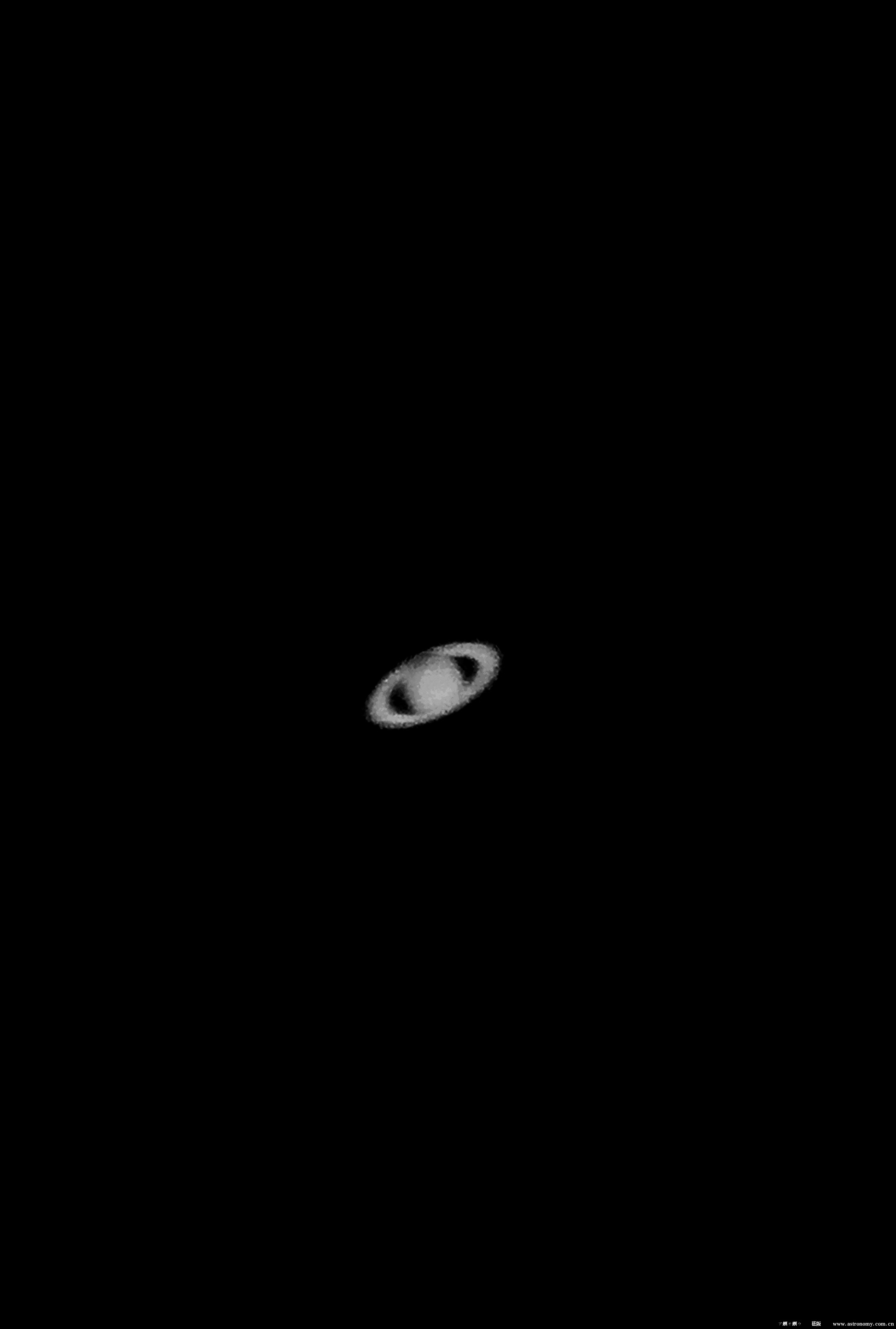 去年沖日的土星250倍目鏡後黑白照