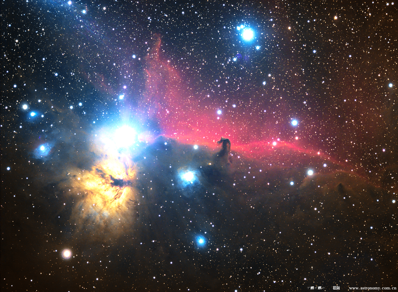 IC434马头星云.png