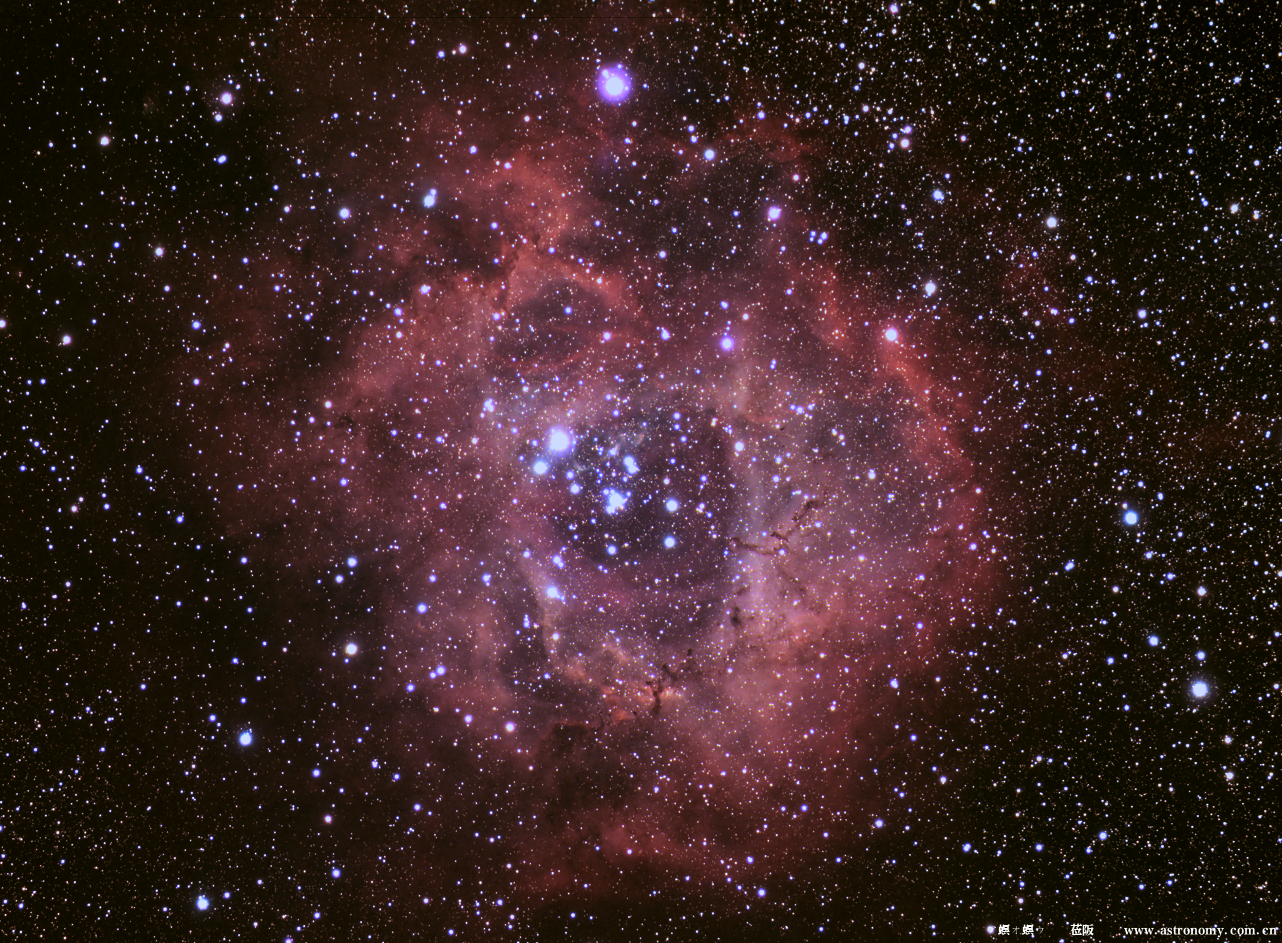 NGC2237玫瑰星云.png