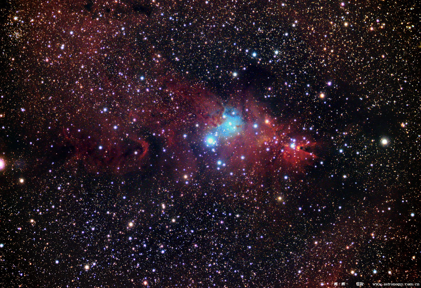 NGC2264圣诞树.png