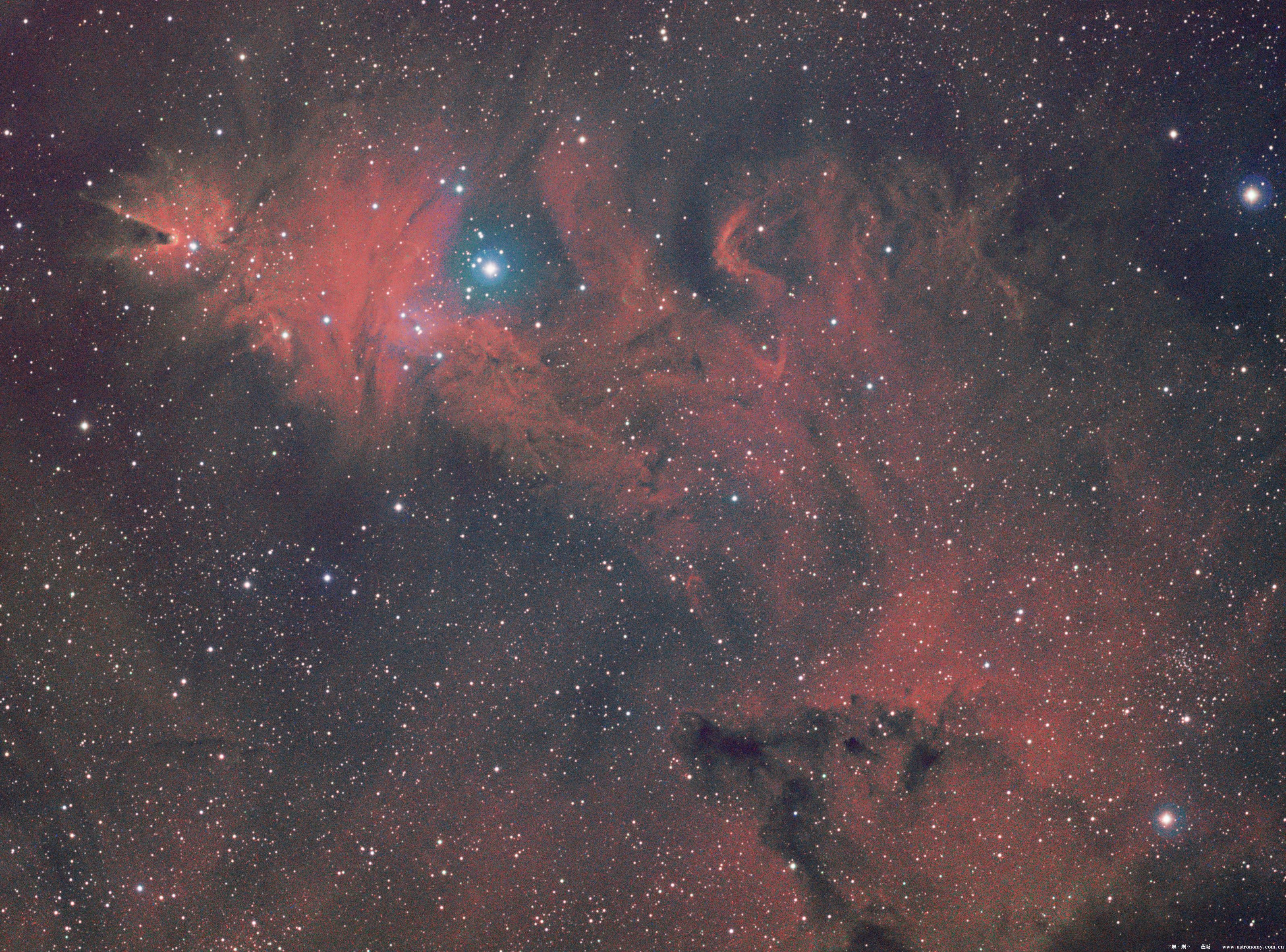 NGC2264.jpg