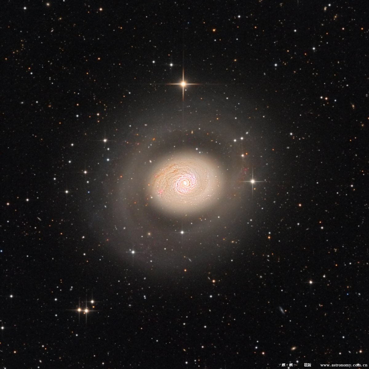 M94_LRGB_cutout.jpg