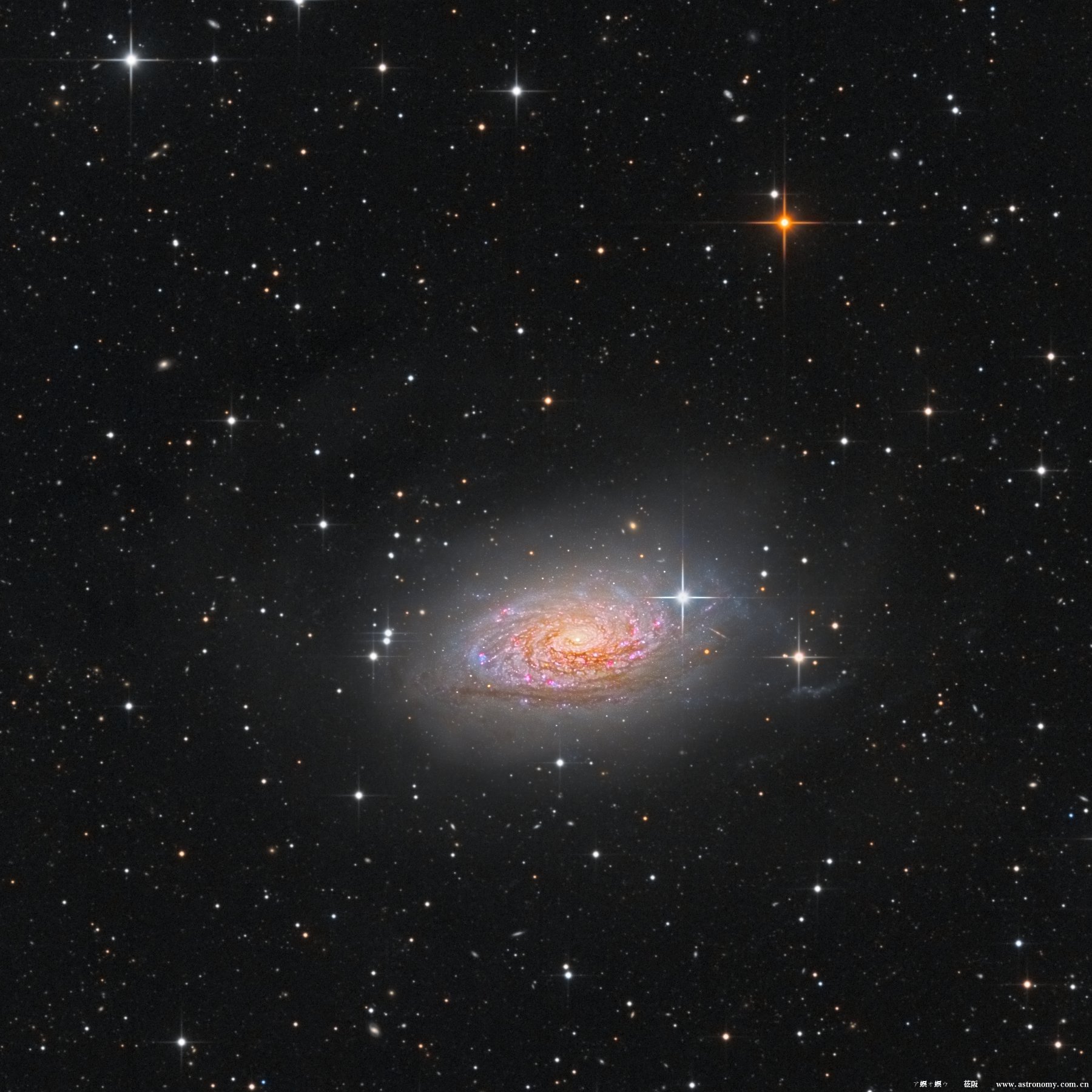 M63_LRGB_cutout.jpg