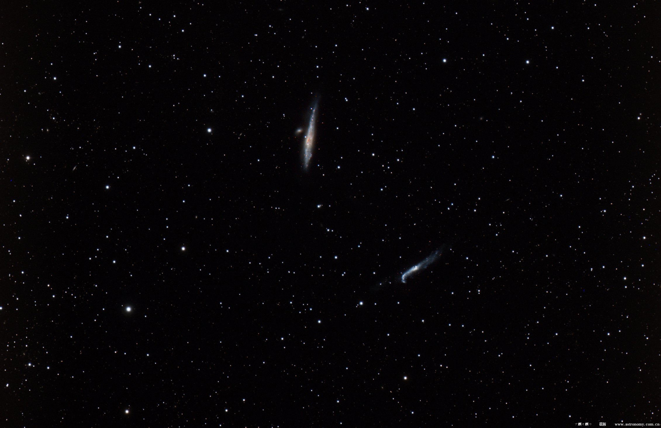 NGC4631