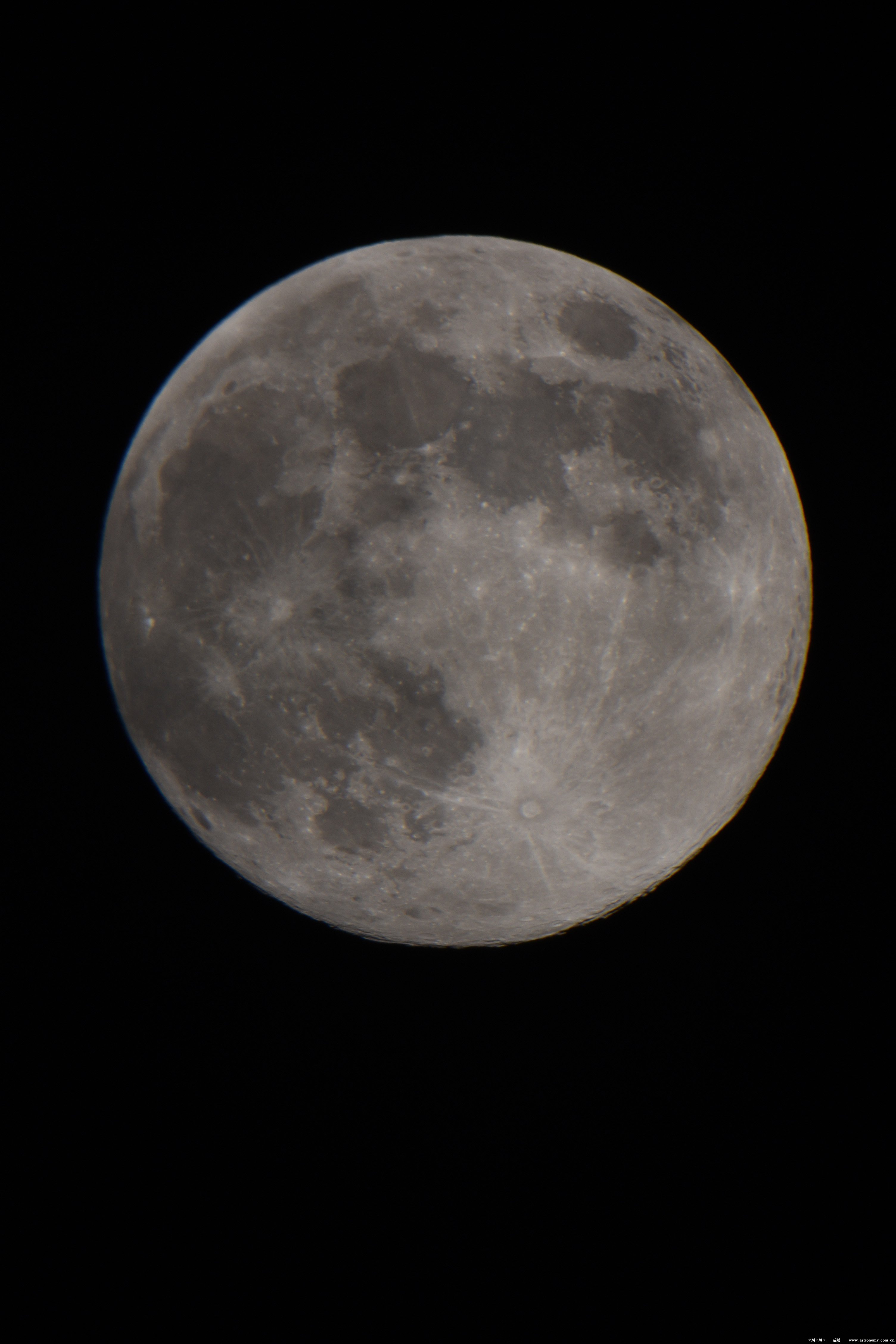 Img0015.jpg