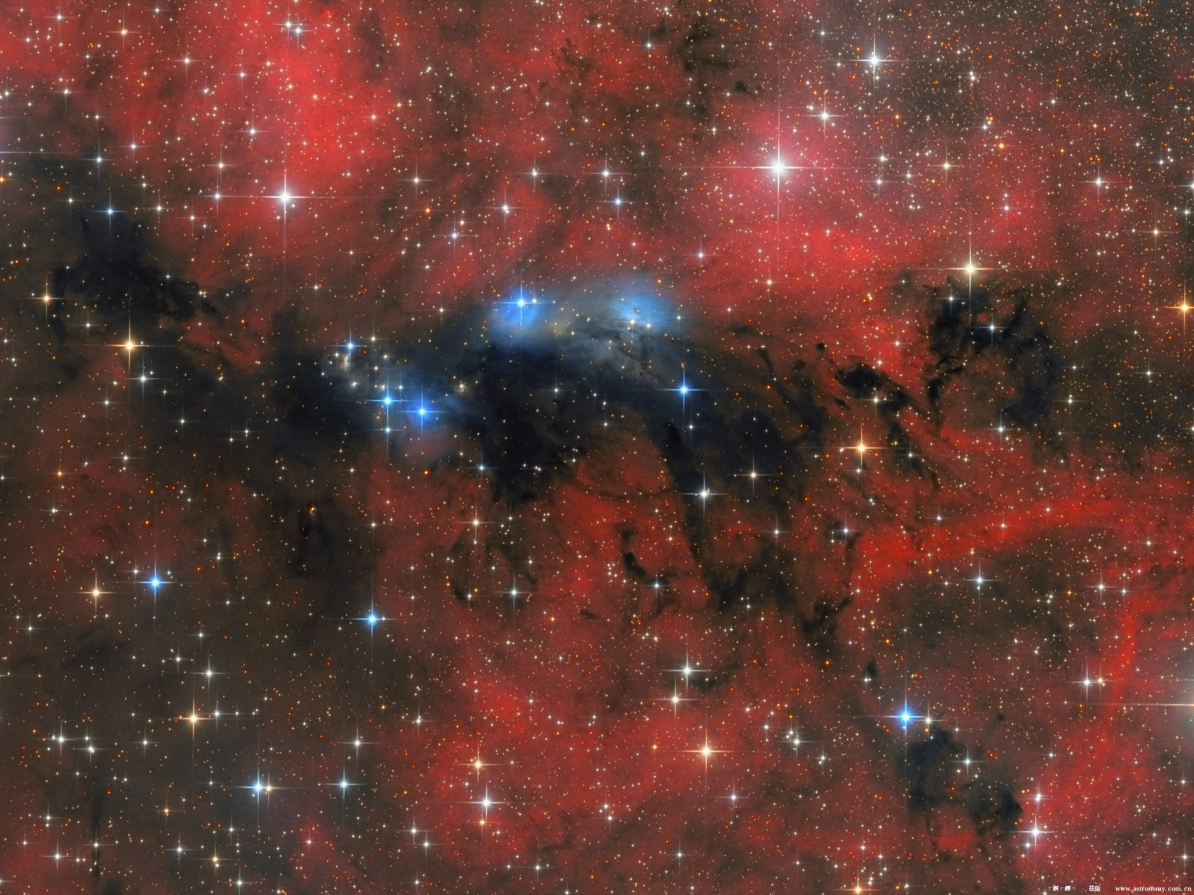 NGC6914_LRGB_reframed.jpg