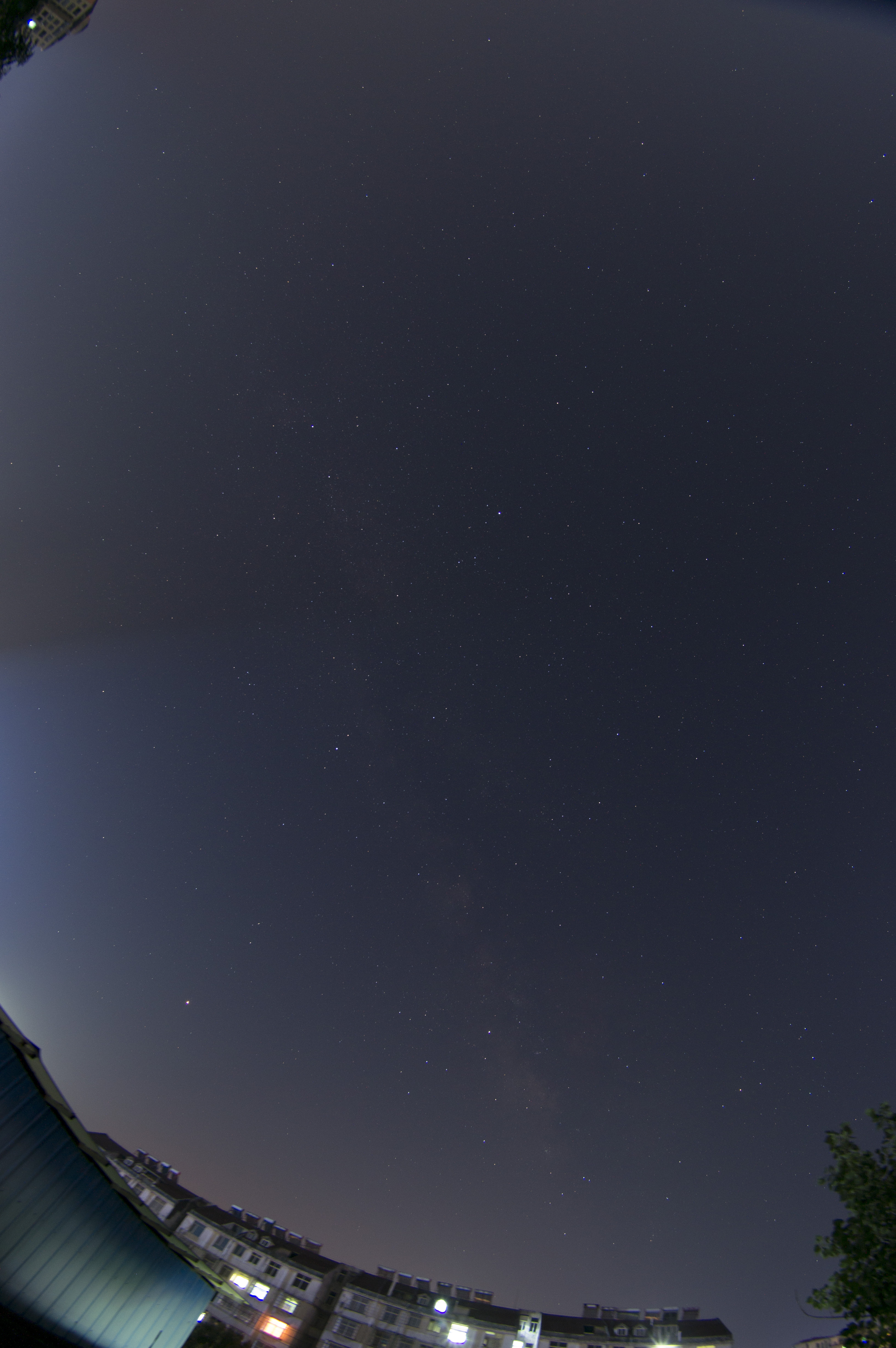DSC03453.jpg