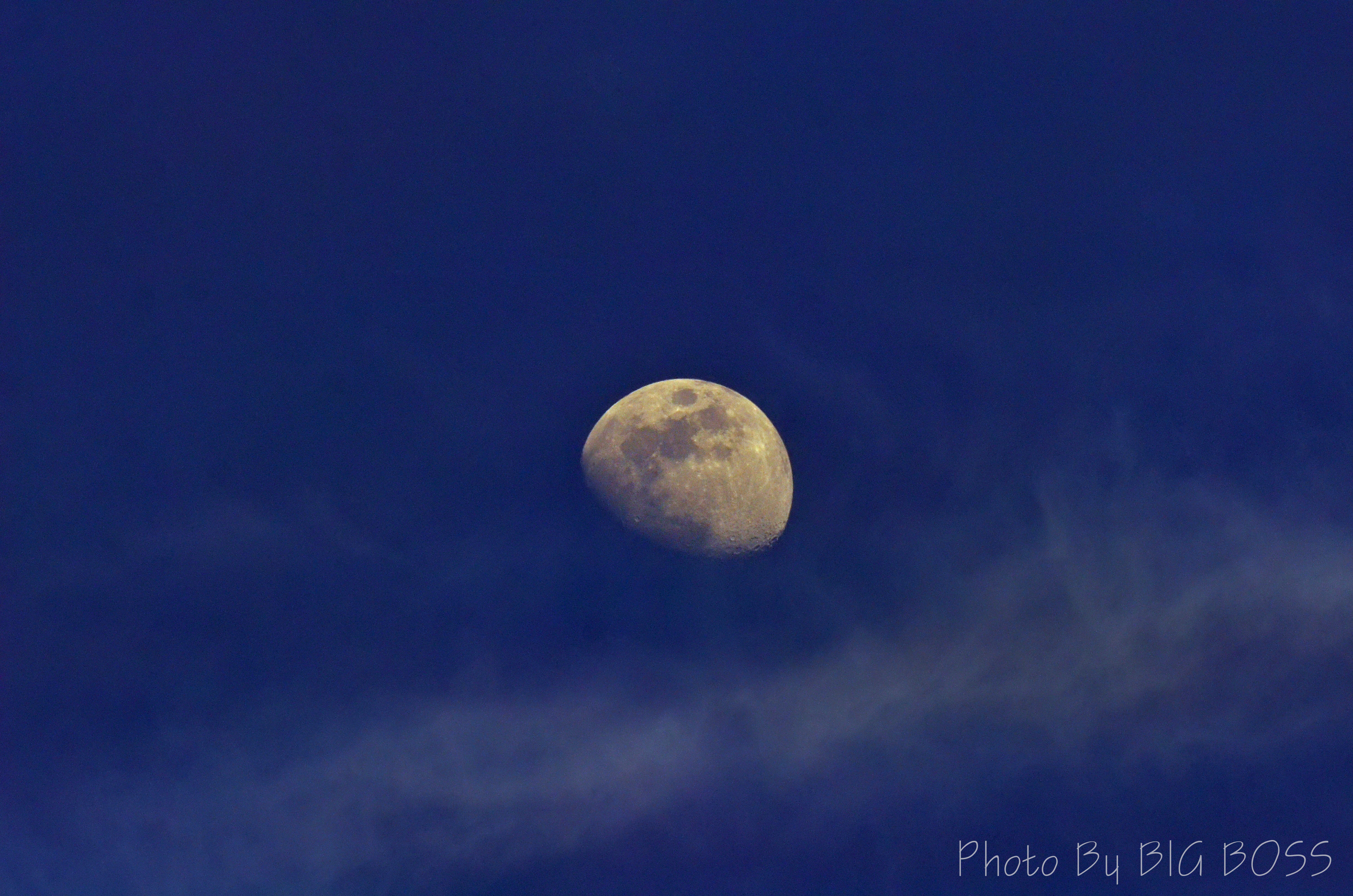 moon.jpg
