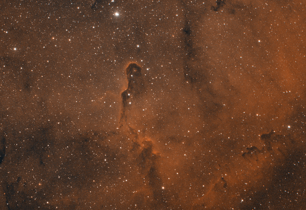 ic1398-RGBHOOSEXIANG.jpg