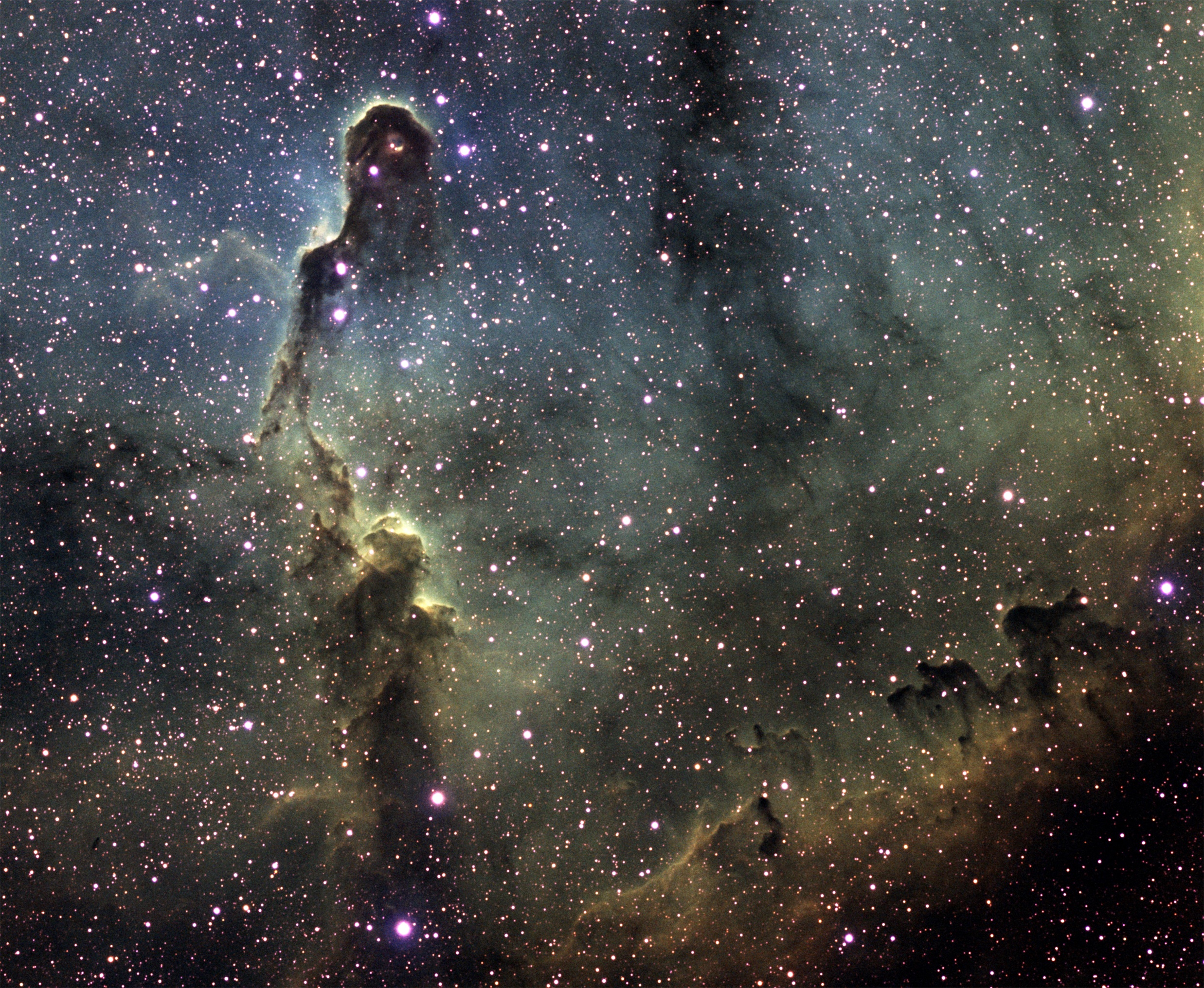 IC1396