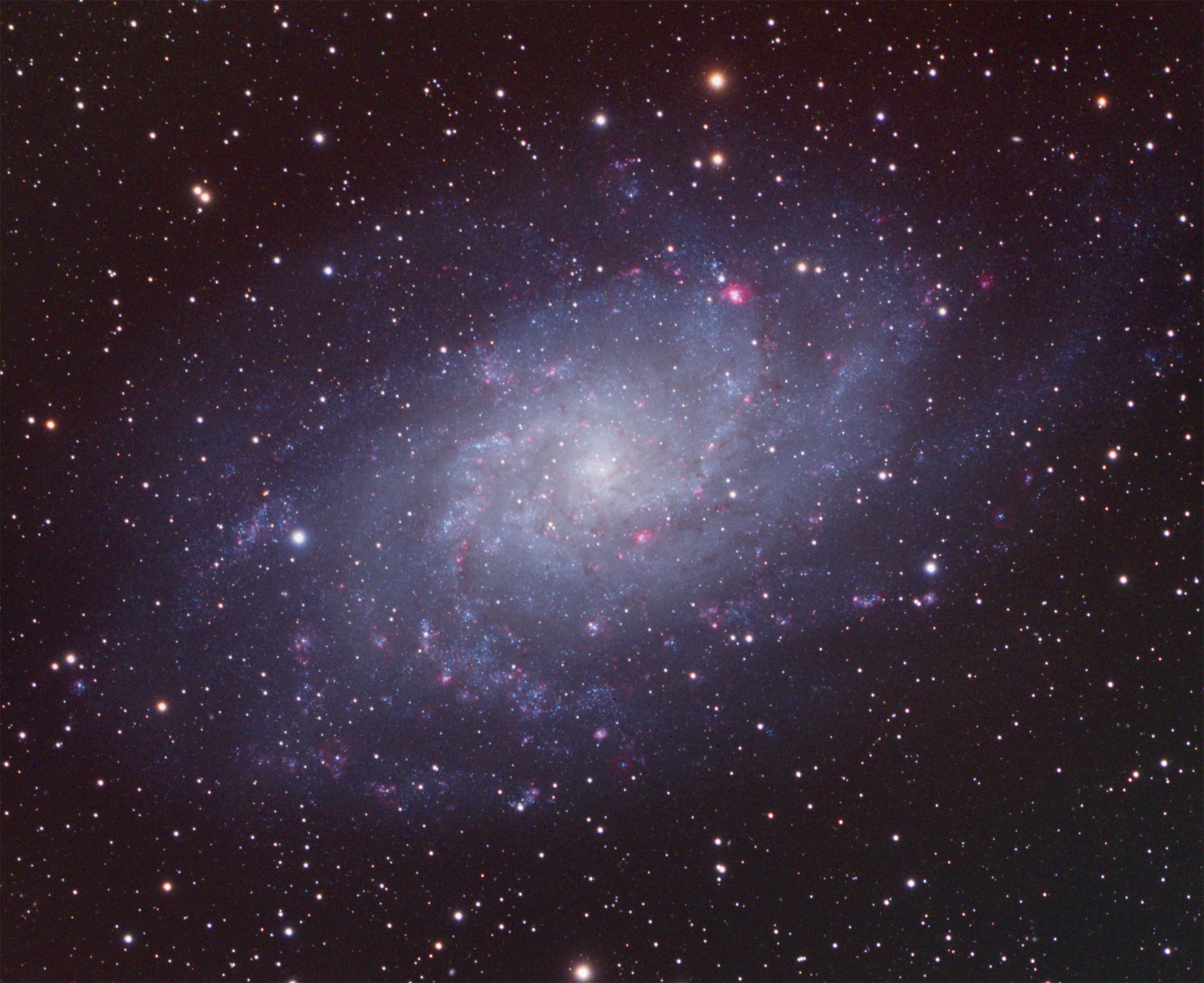 M33