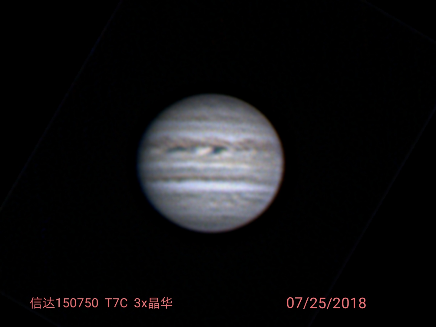 C844CAB6-E180-405B-8D18-D5C3FAAD7C72.jpeg