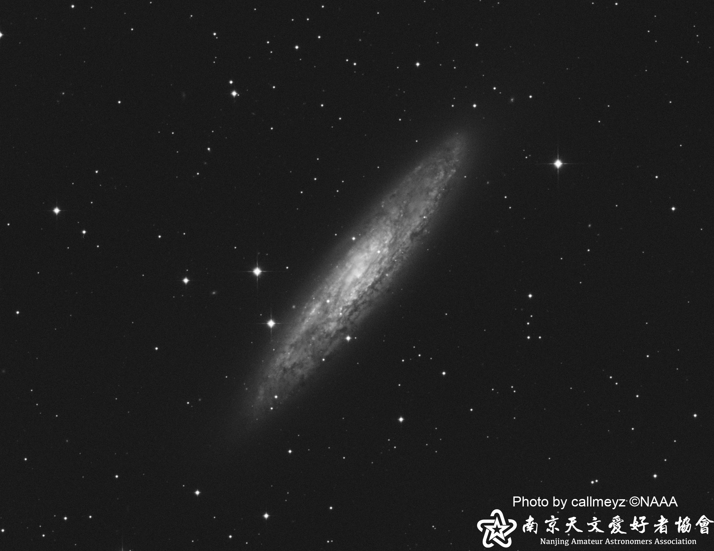 NGC 253.jpg