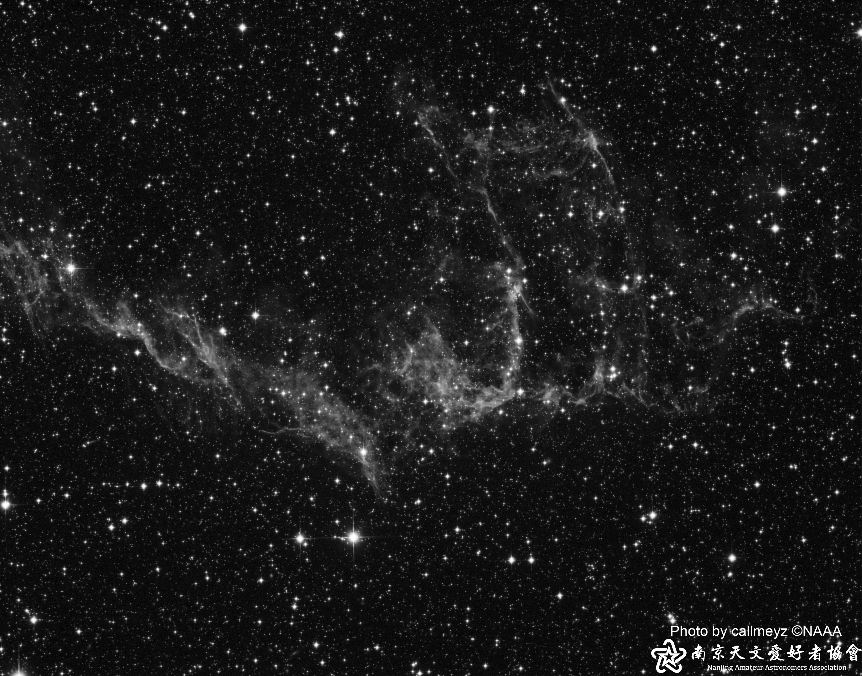 NGC 6995.jpg