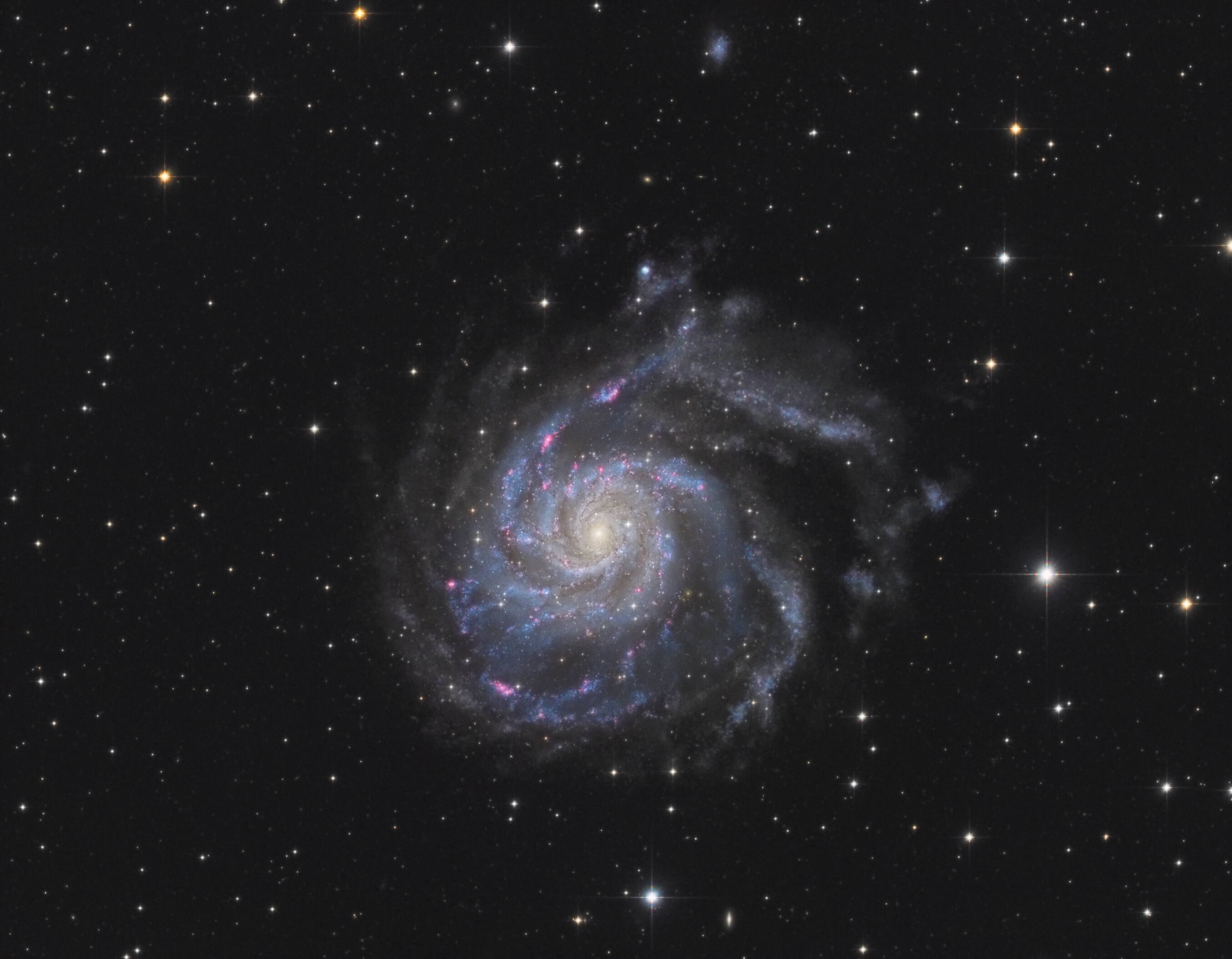 M101 final.jpg