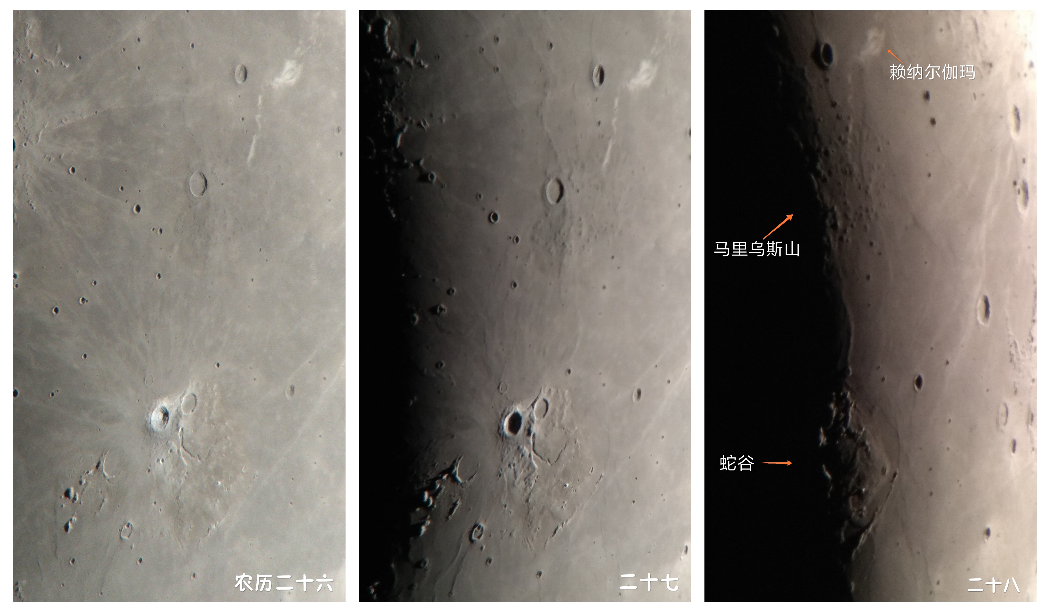 QQ图片20180907135154.jpg