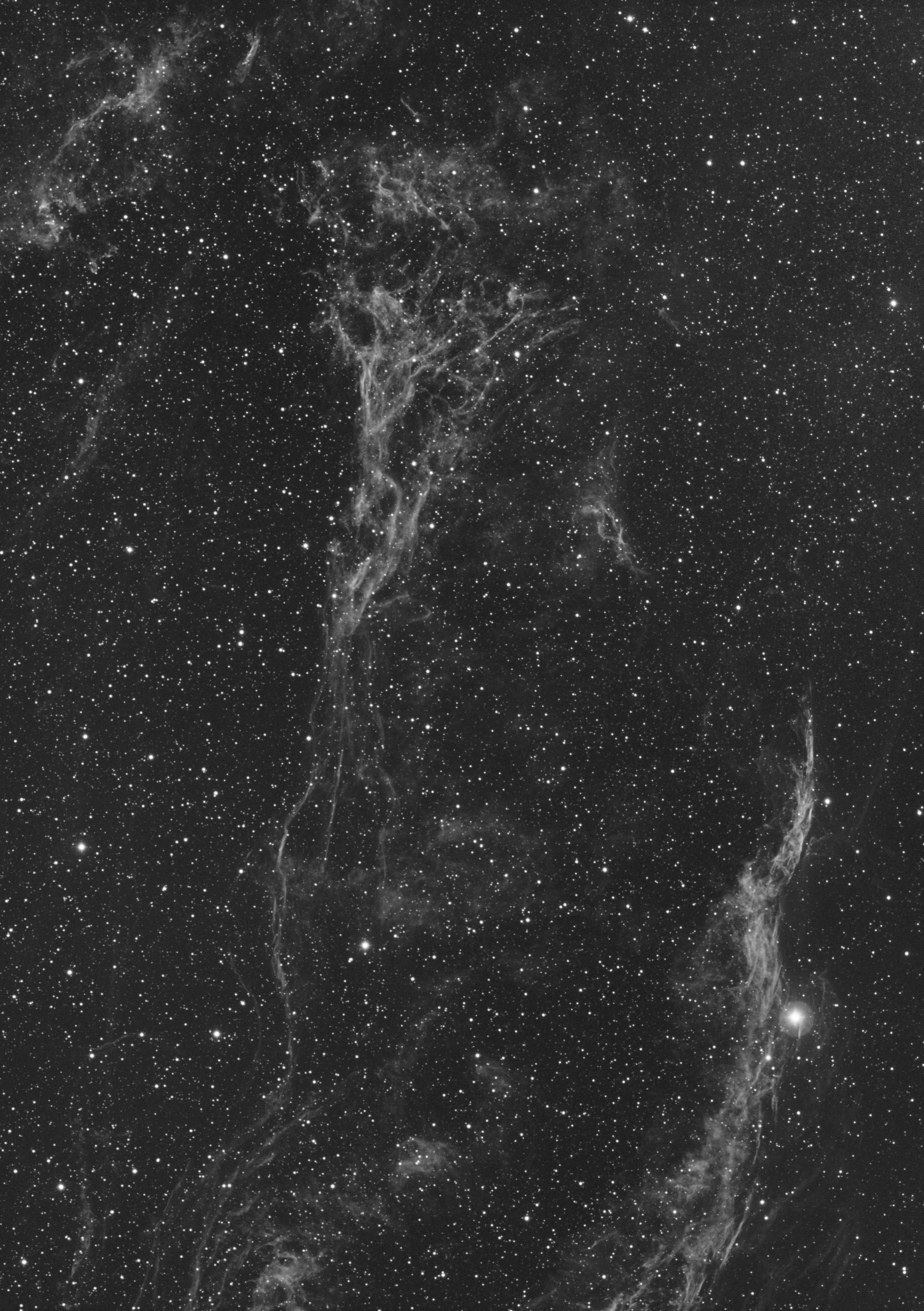 ngc6960 ha 29.jpg