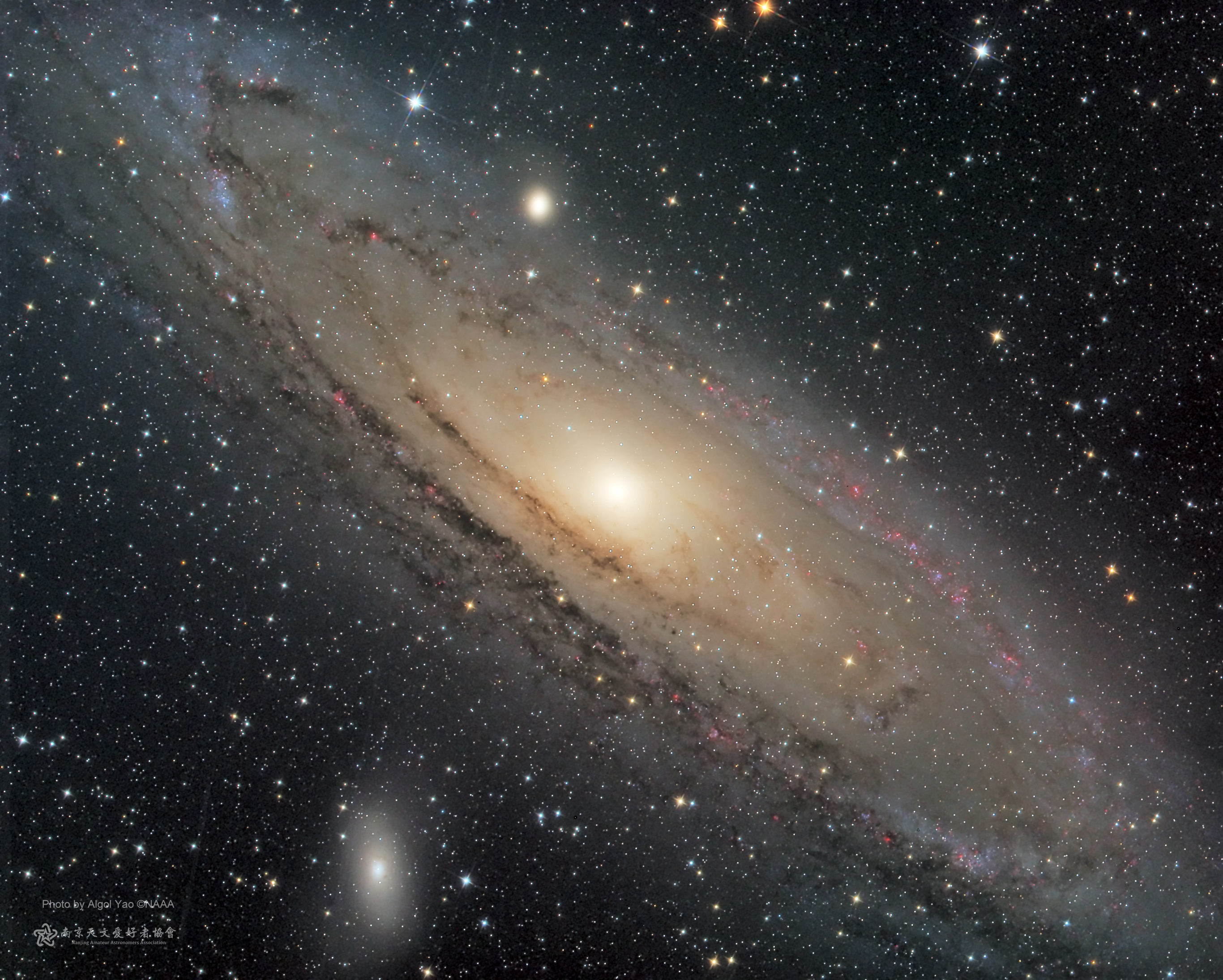 m31 (4).jpg