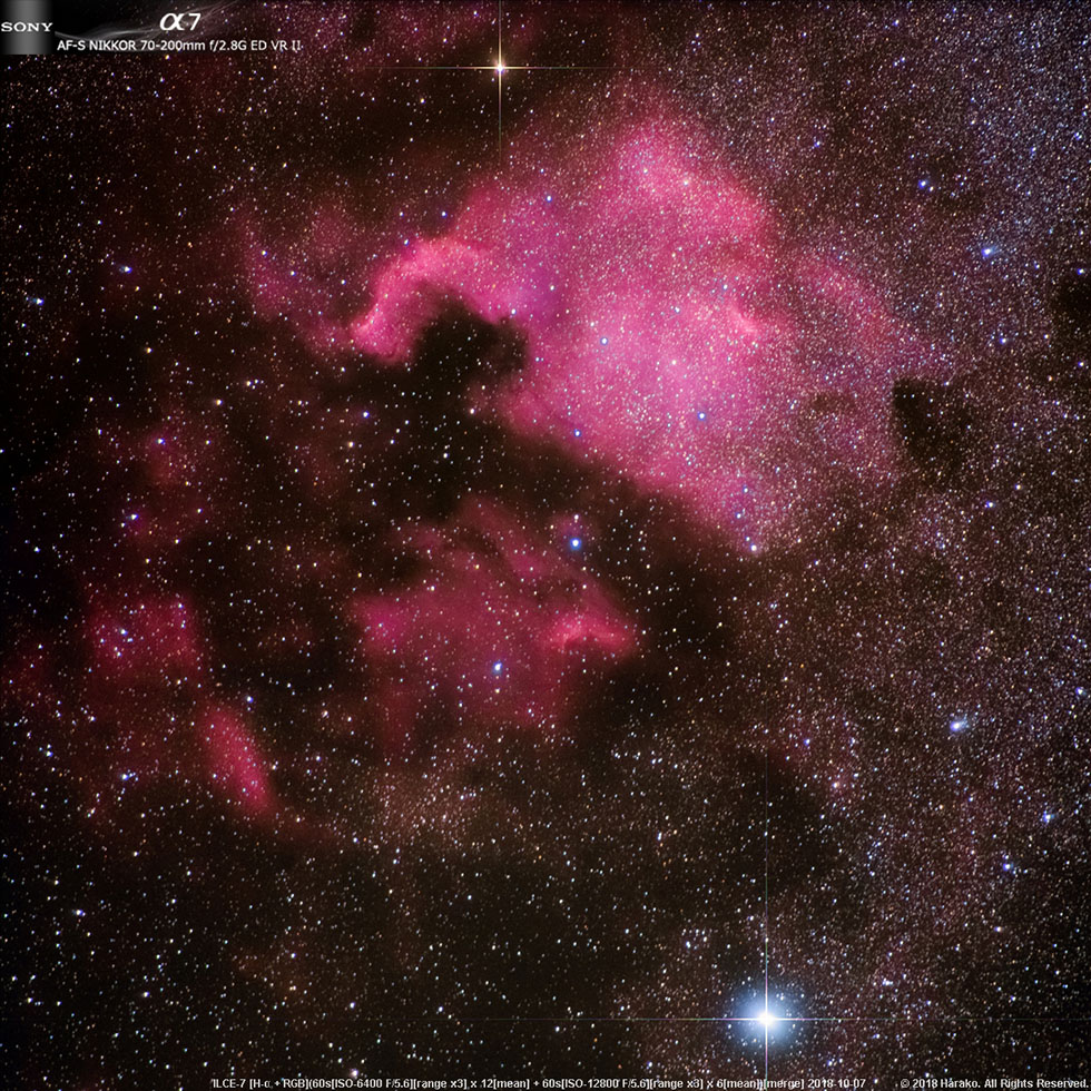 NGC7000 北美洲星雲 IC5070 鵜鶘星雲.jpg