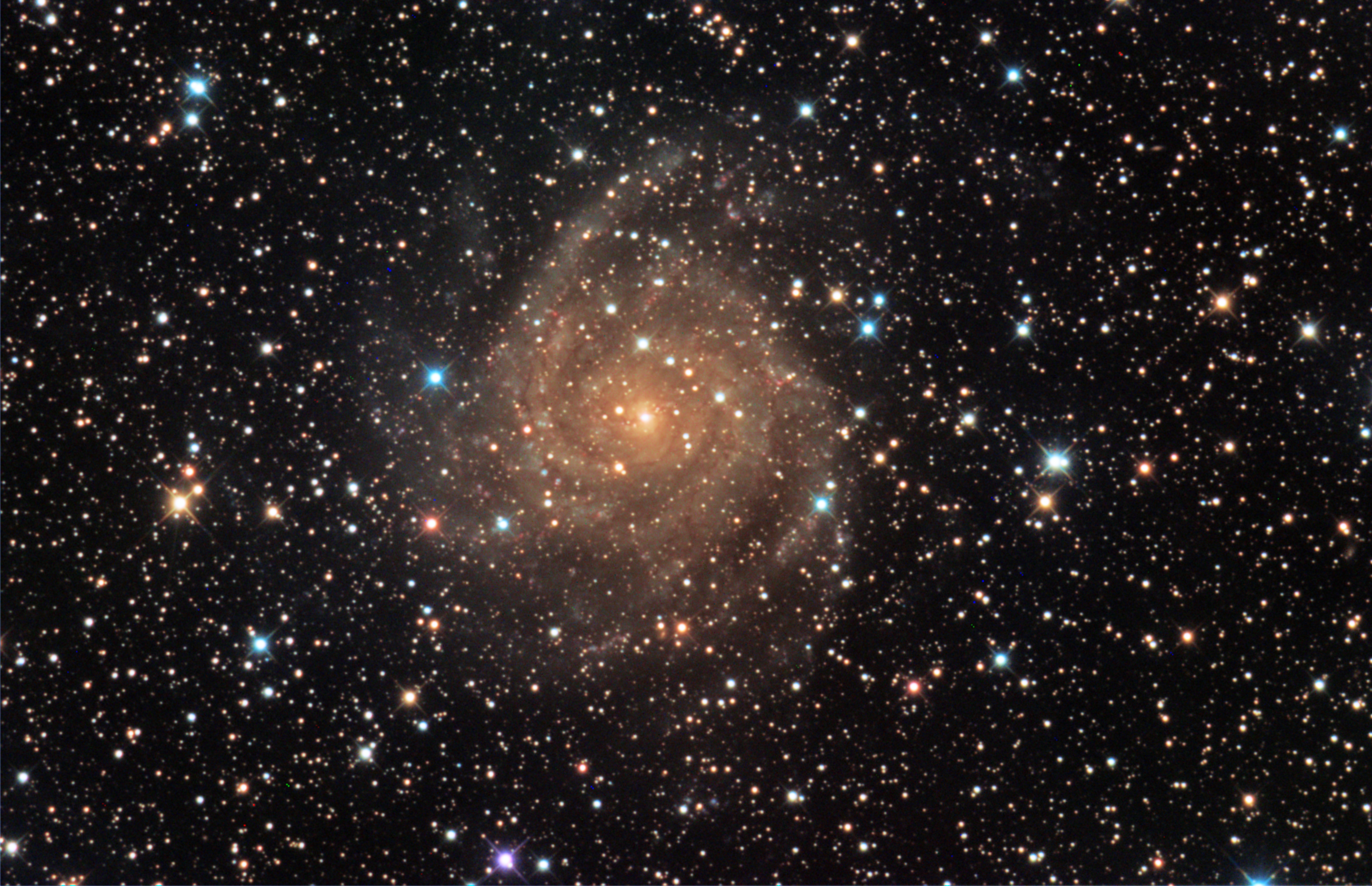 IC 342-LRGB.jpg