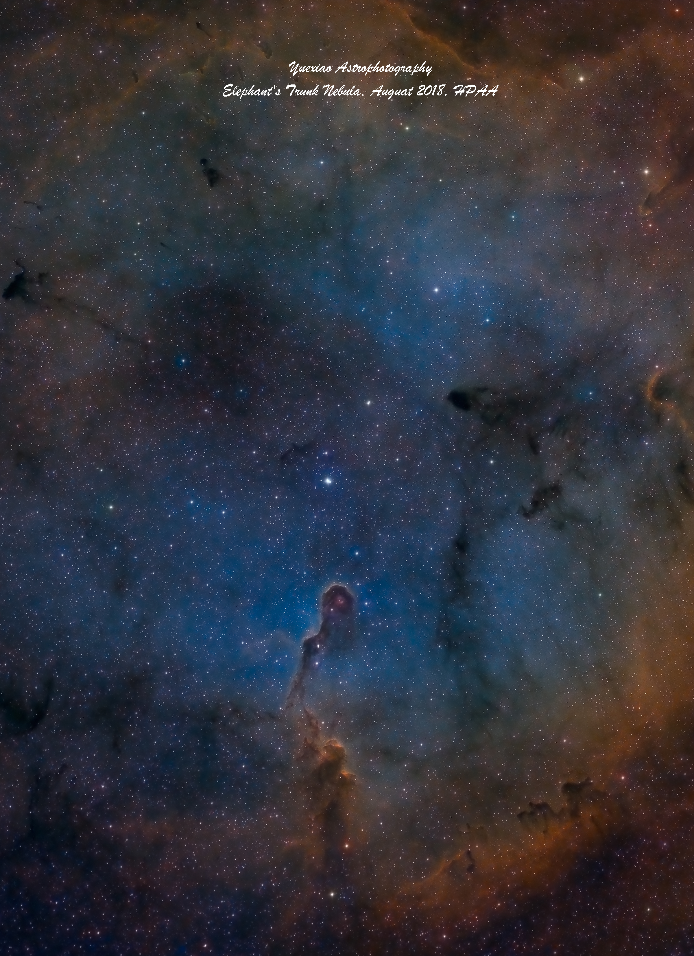 IC1396.jpg