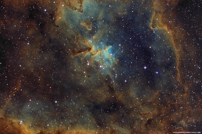 IC1805-Melotte 15 - 副本.png