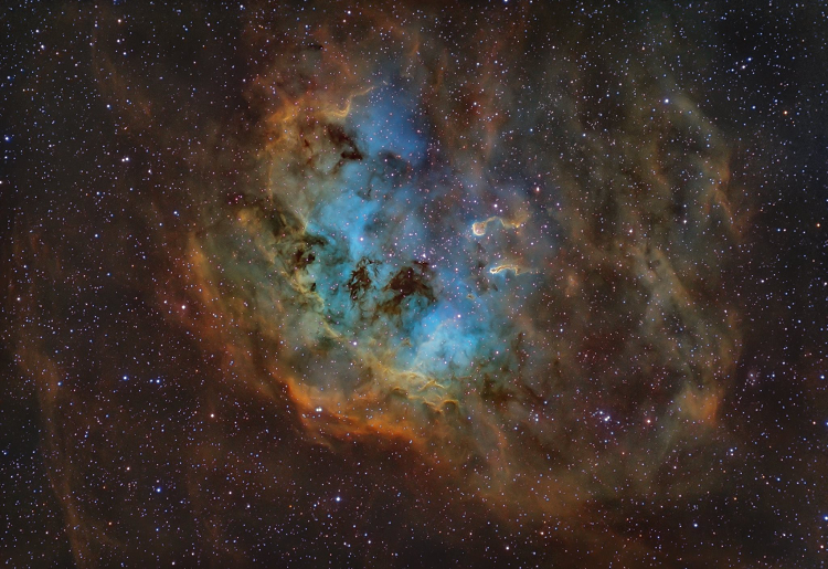 Tadpole Nebula - IC410 - 副本.png