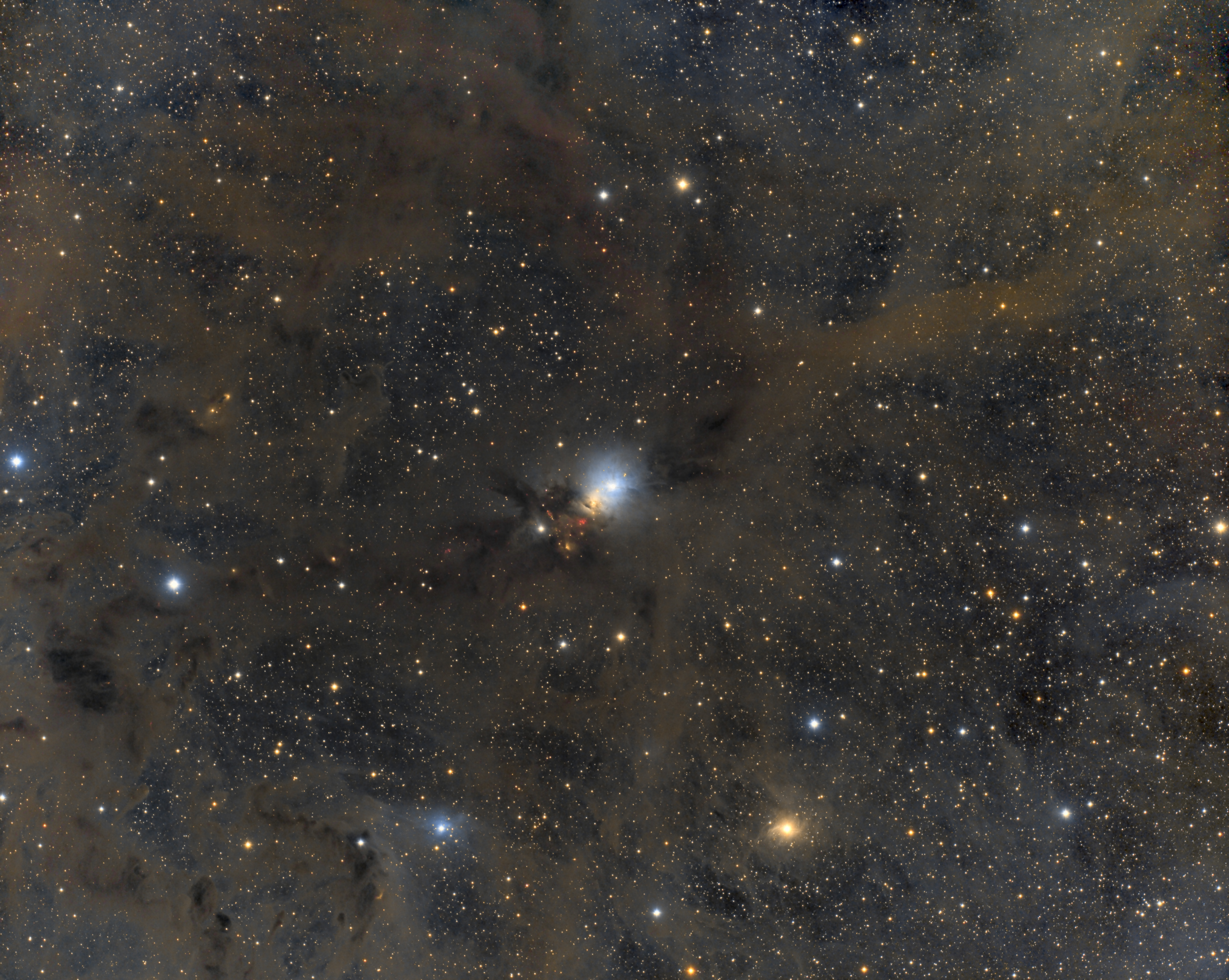 NGC1333.jpg