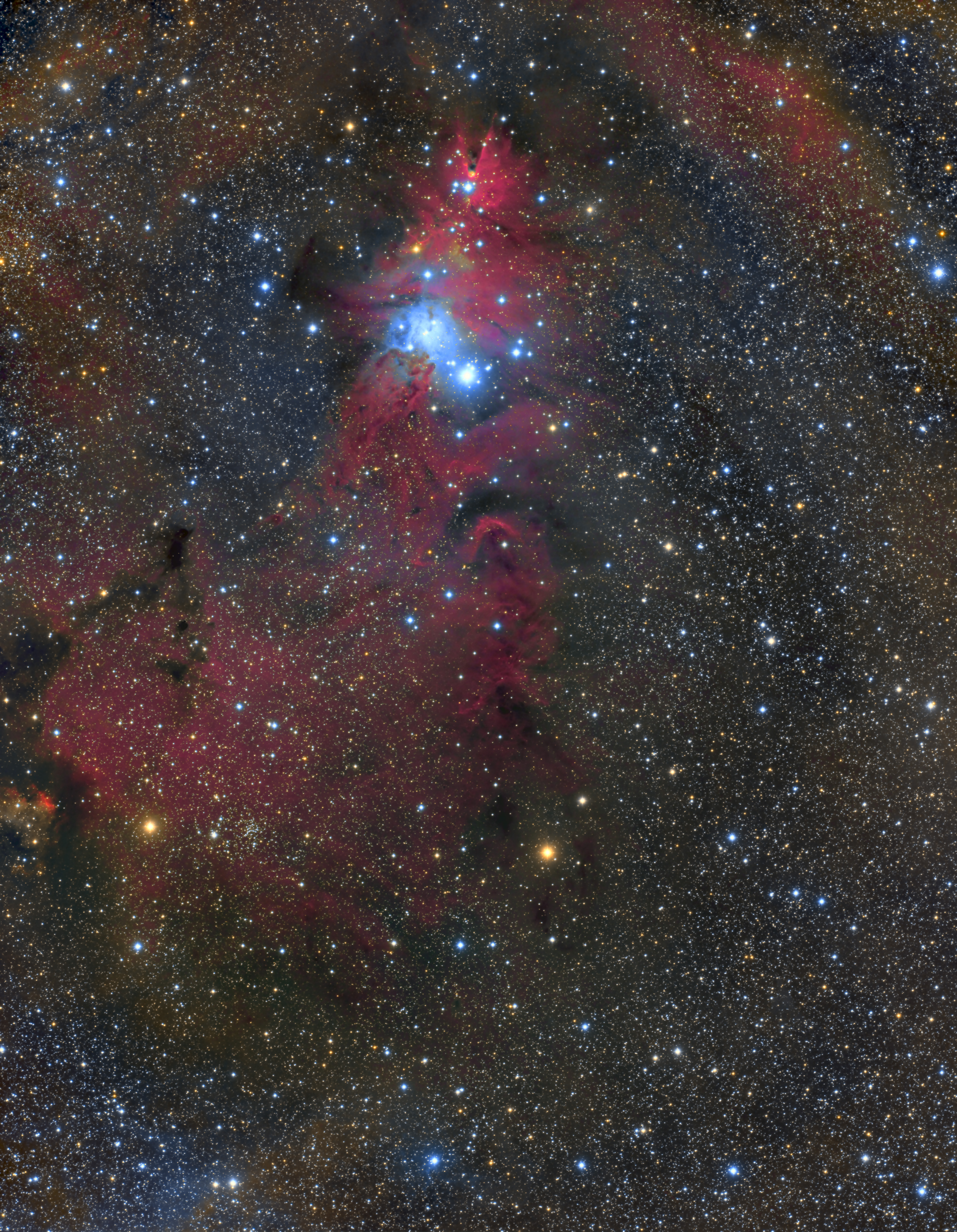 NGC2264.jpg