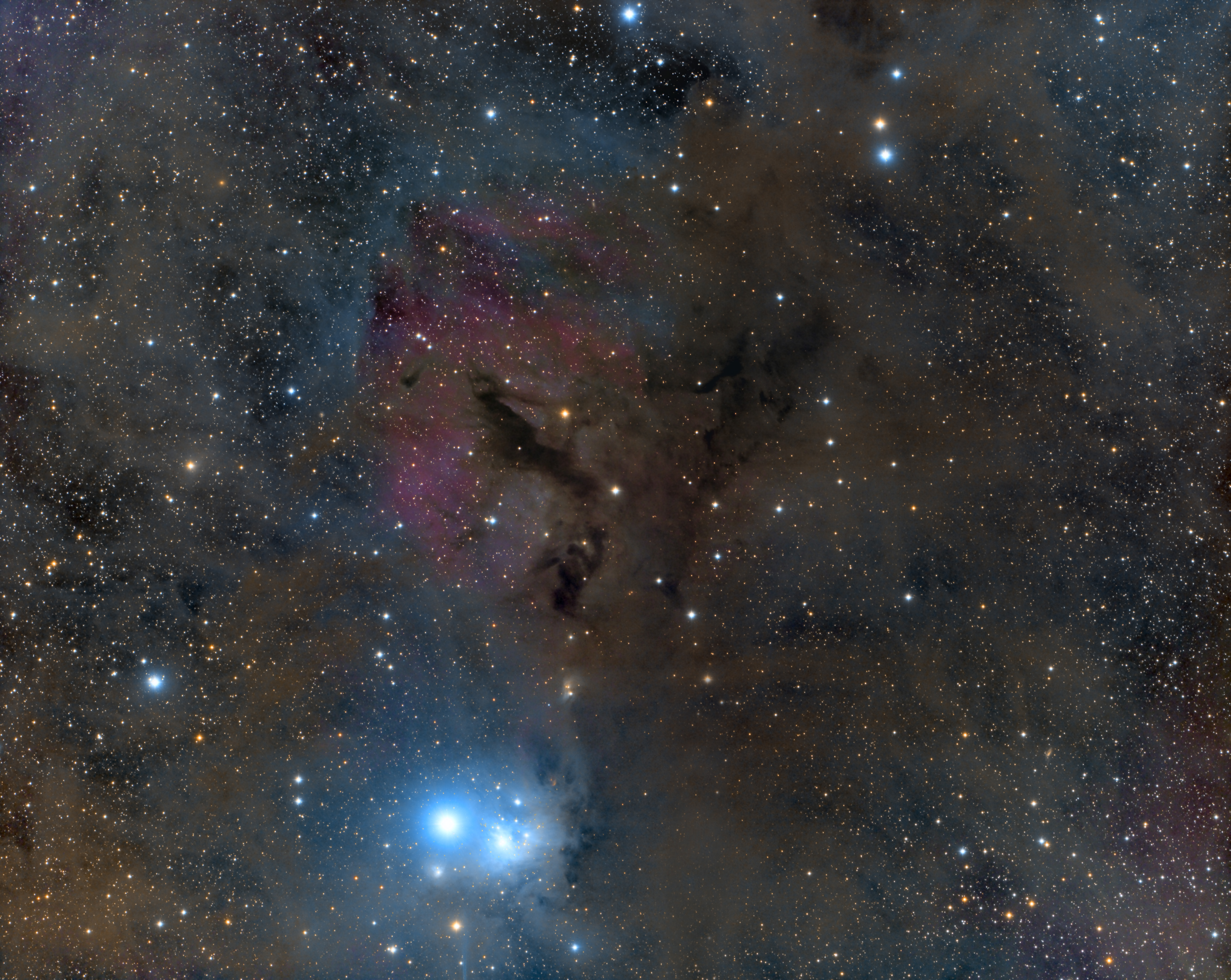 IC348.jpg