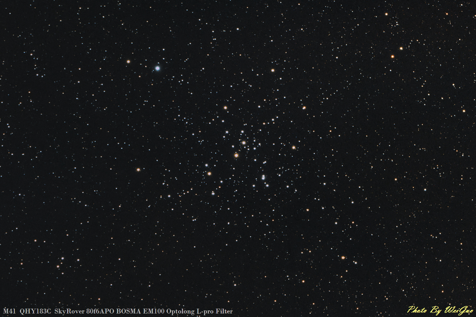 M41X.jpg