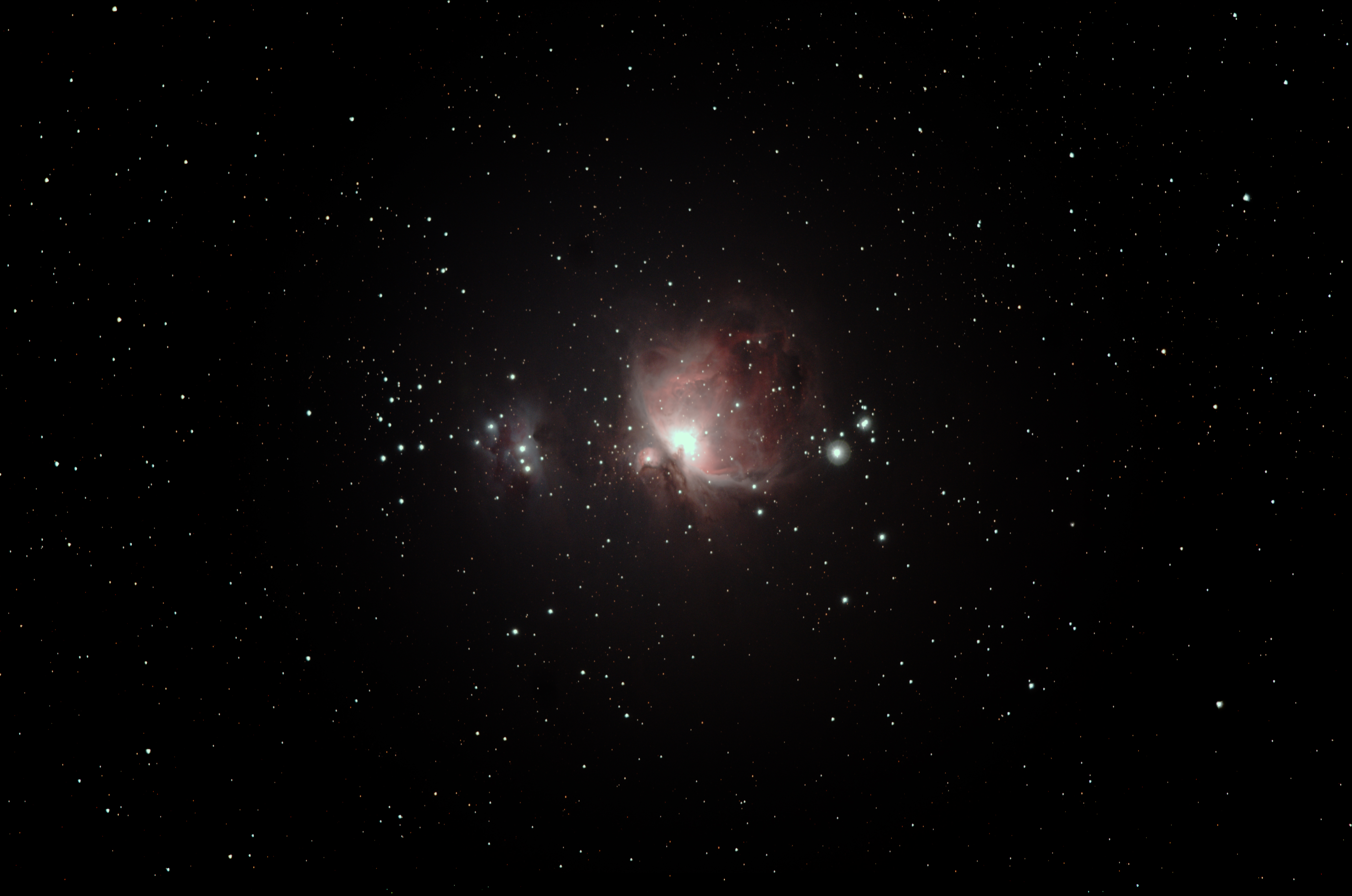 M42-4.jpg