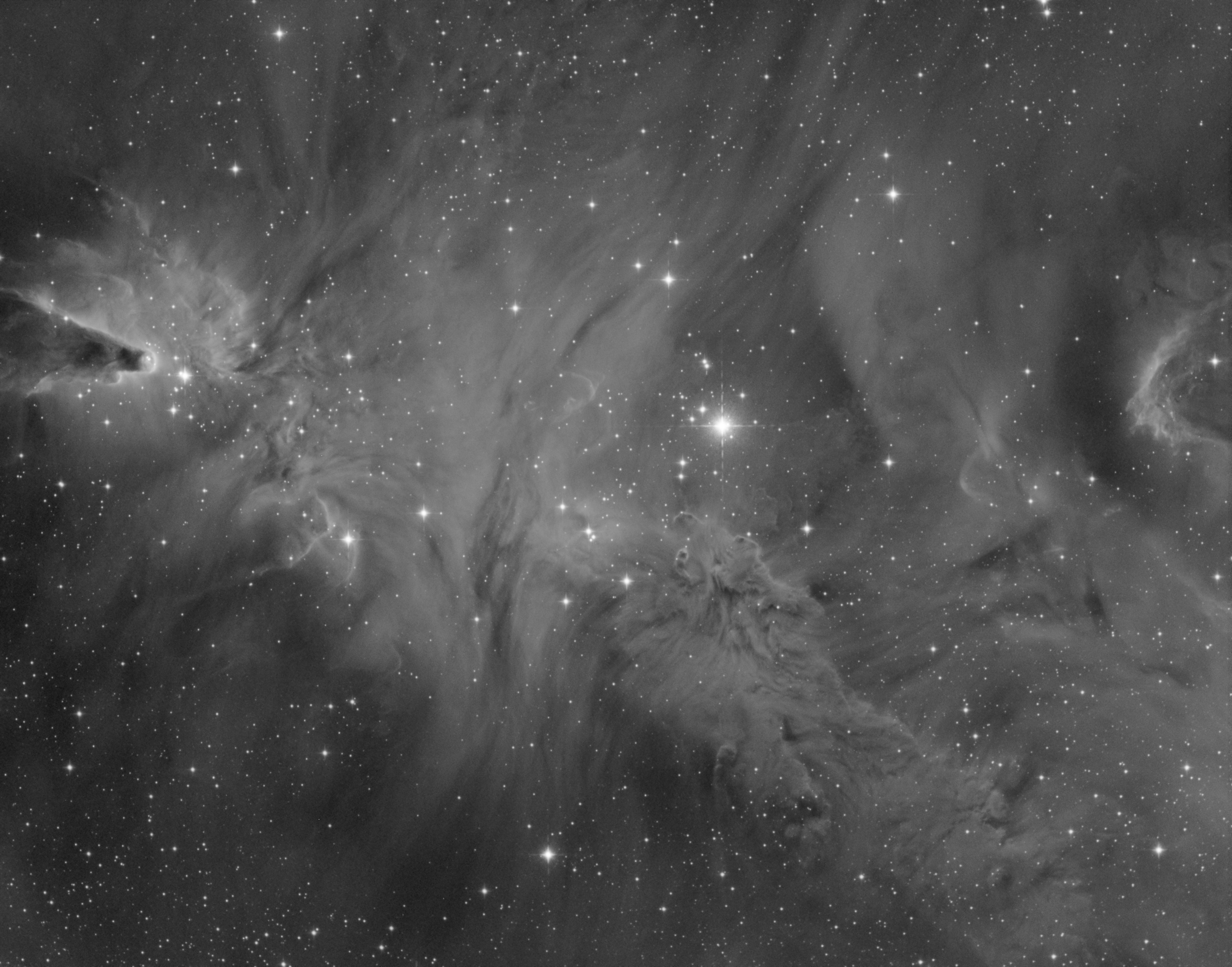 ngc2264.jpg