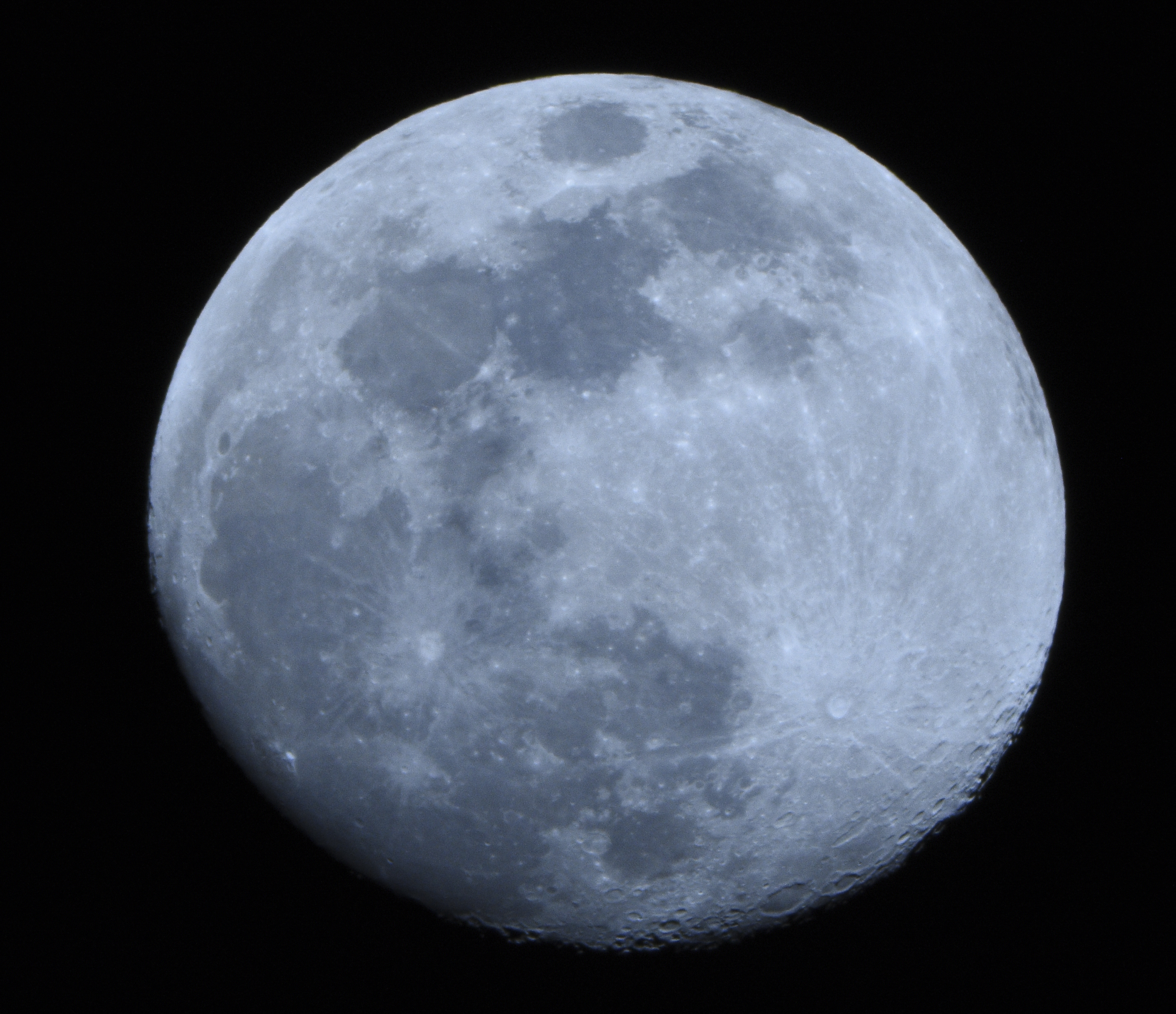 DSC_9560.jpg