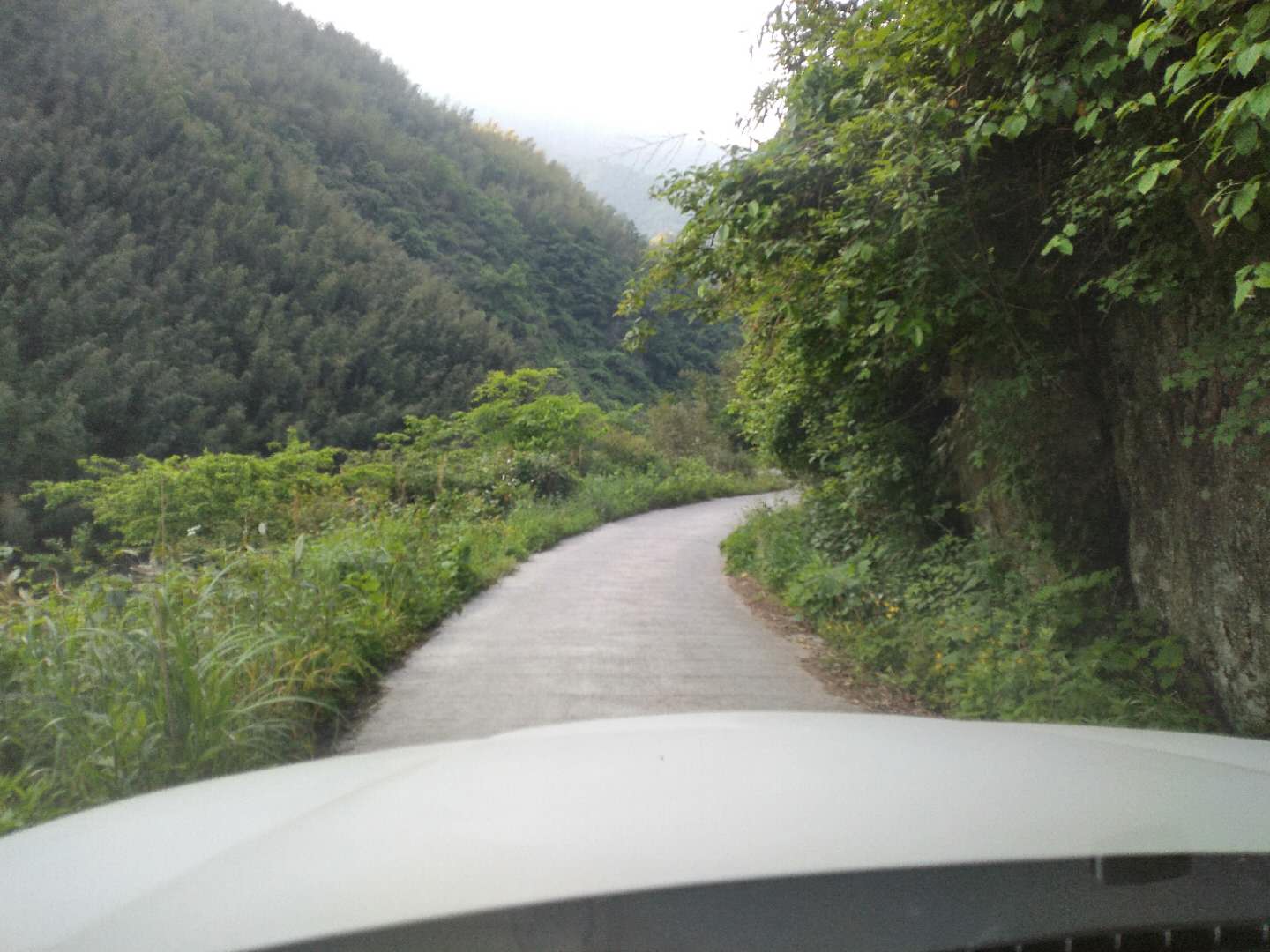 山路.jpg