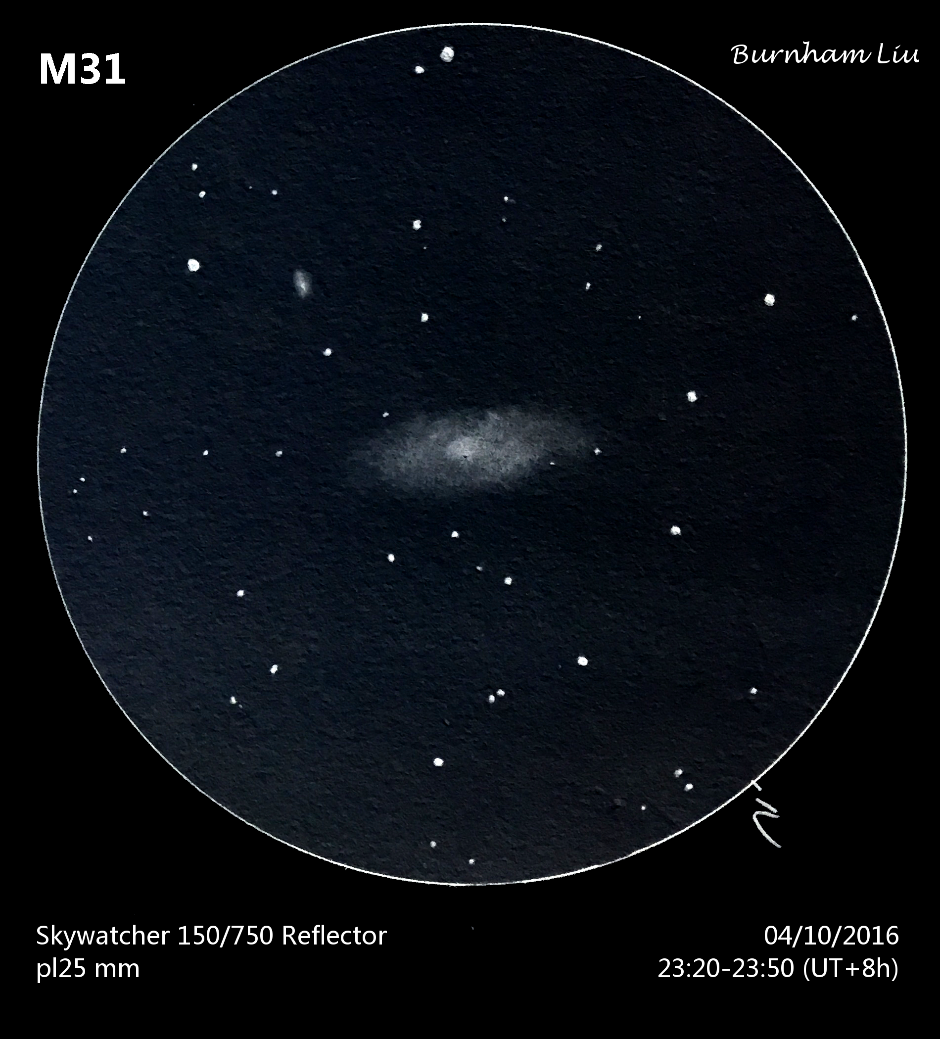 M31