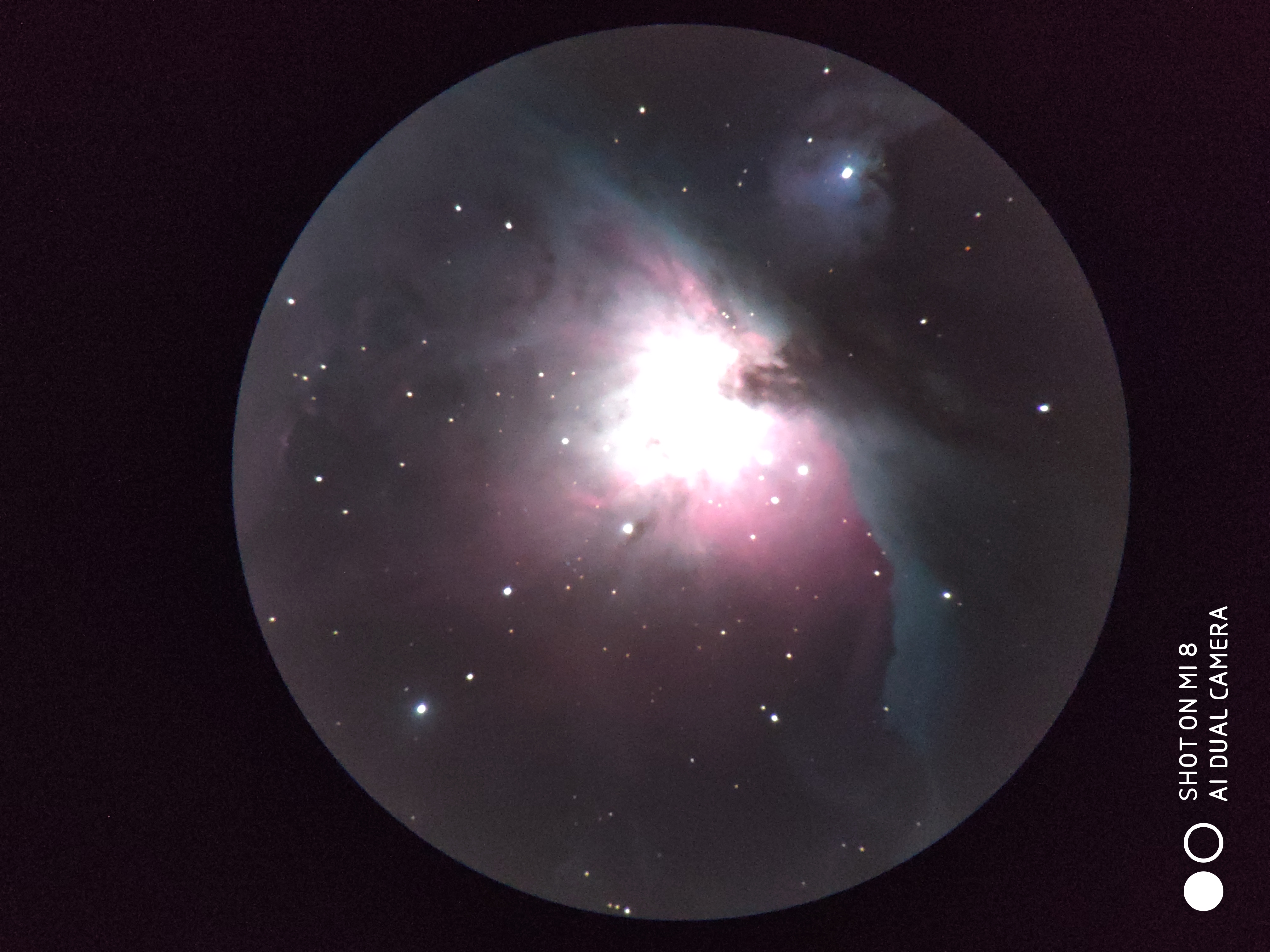 m42-2.jpg