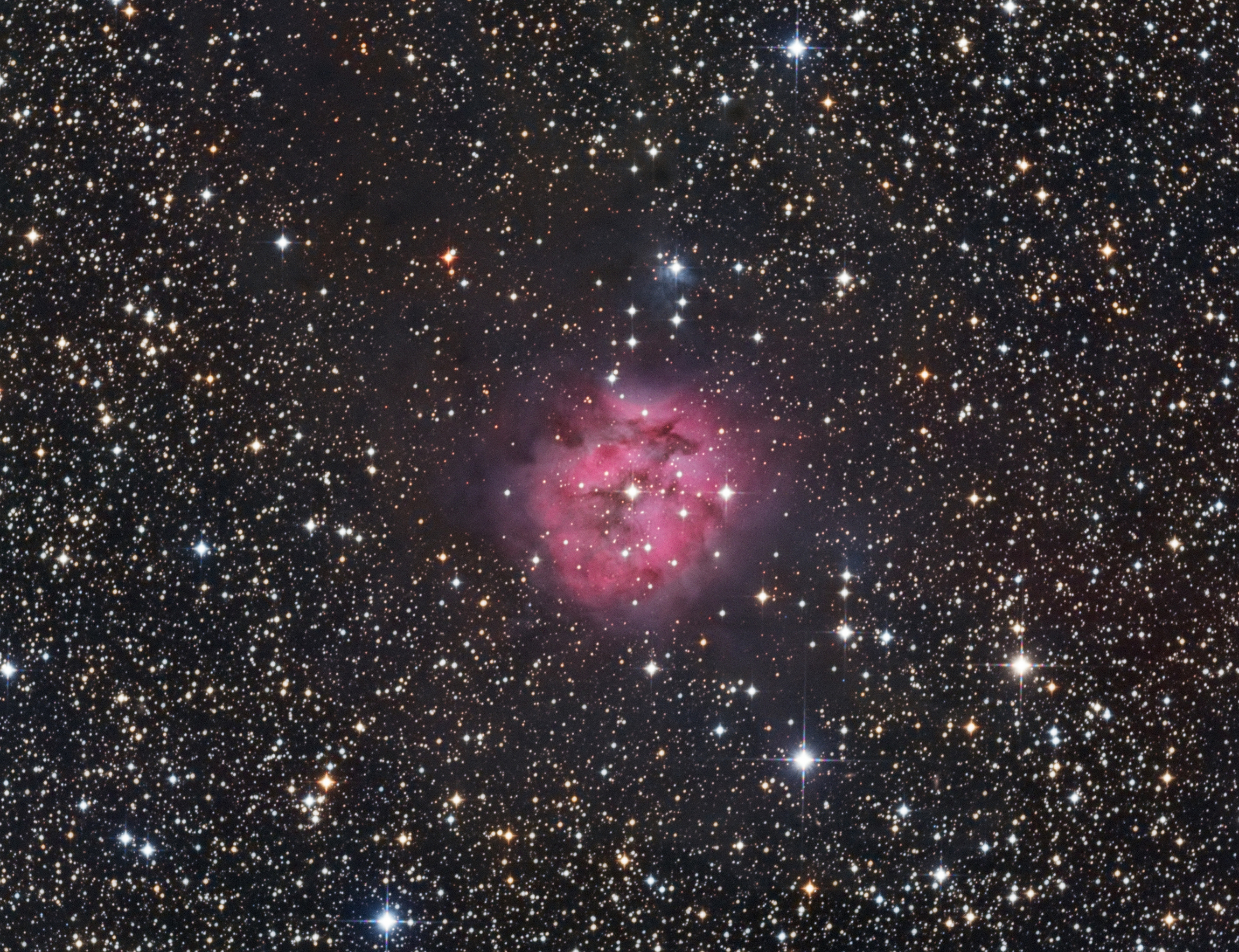 ic5146_polarr.jpg