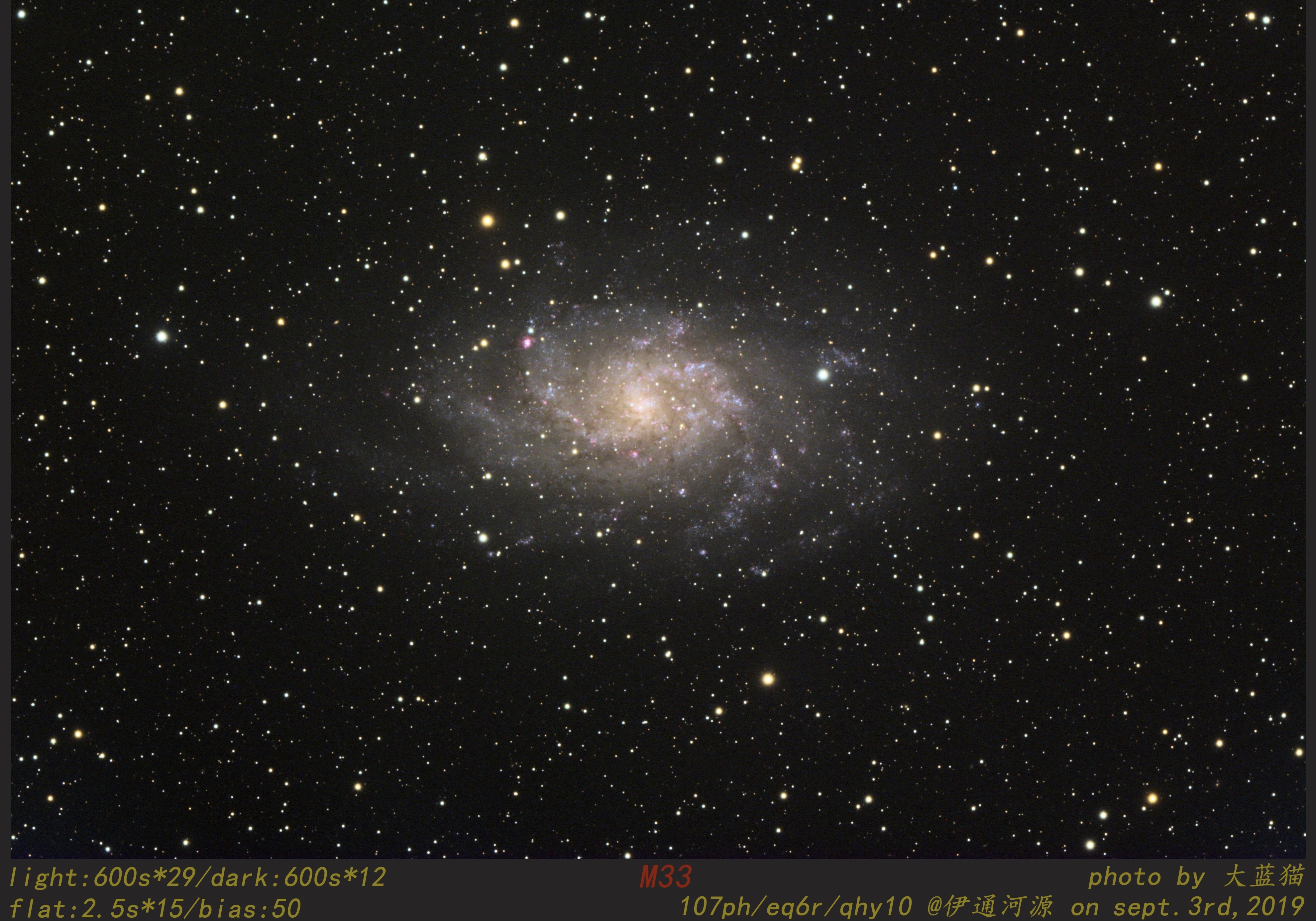 M33
