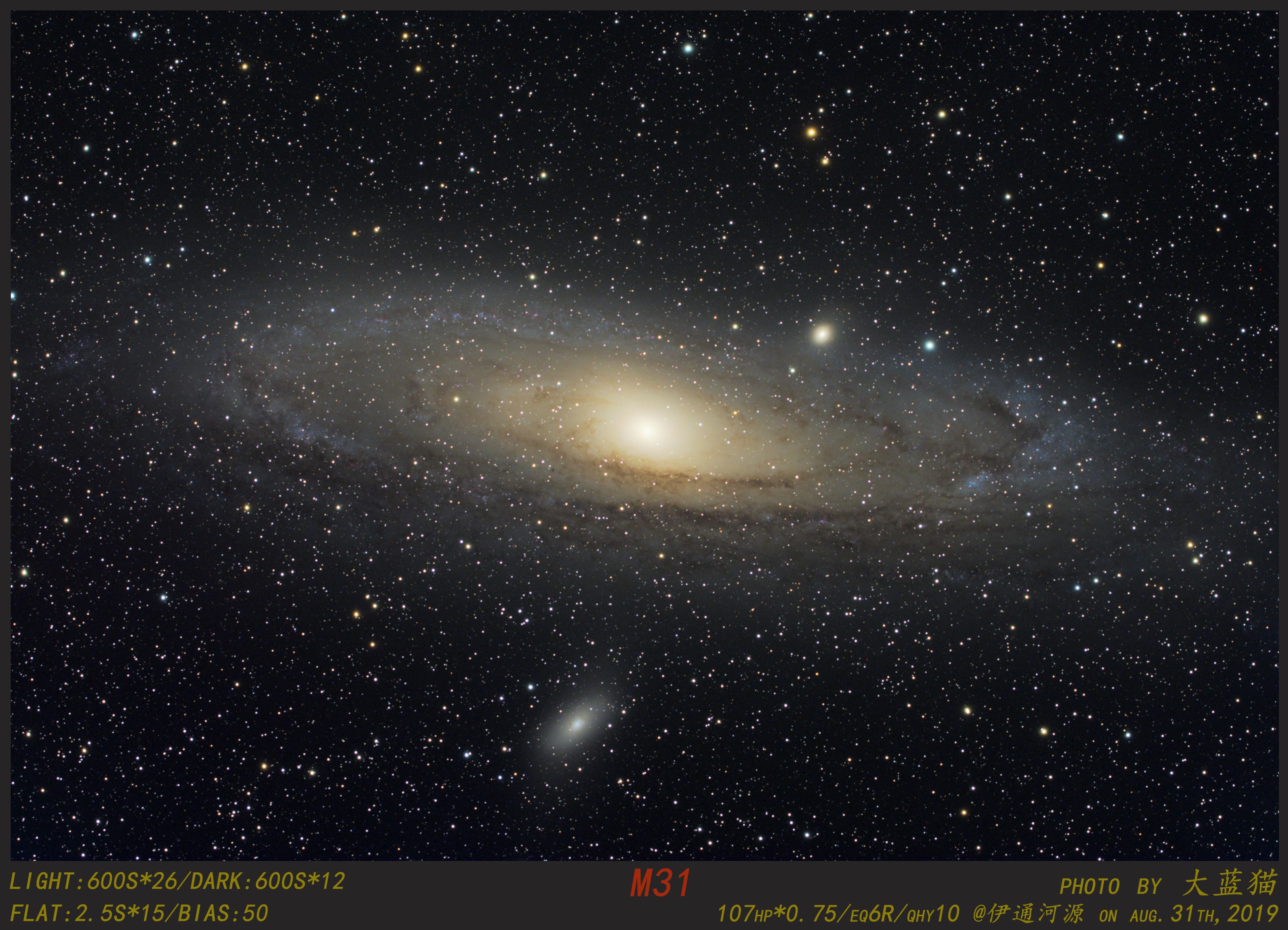 M31
