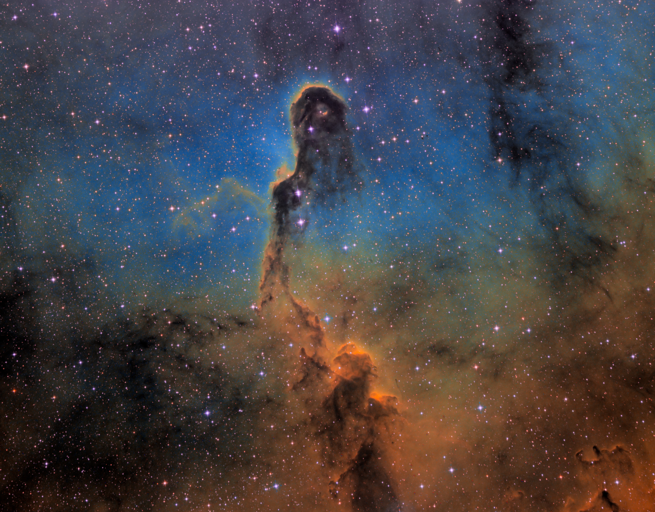 IC1396.jpg