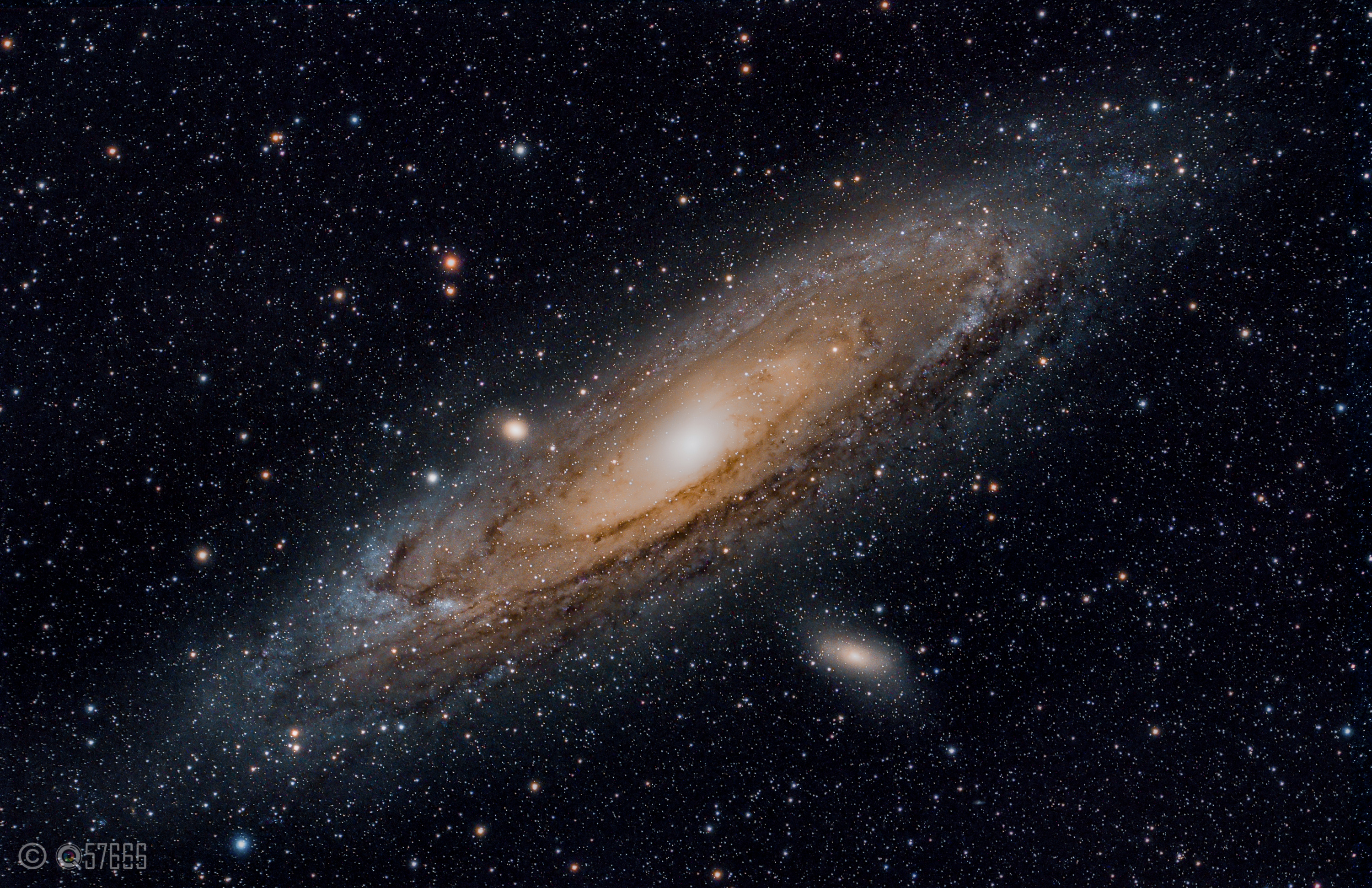 M31