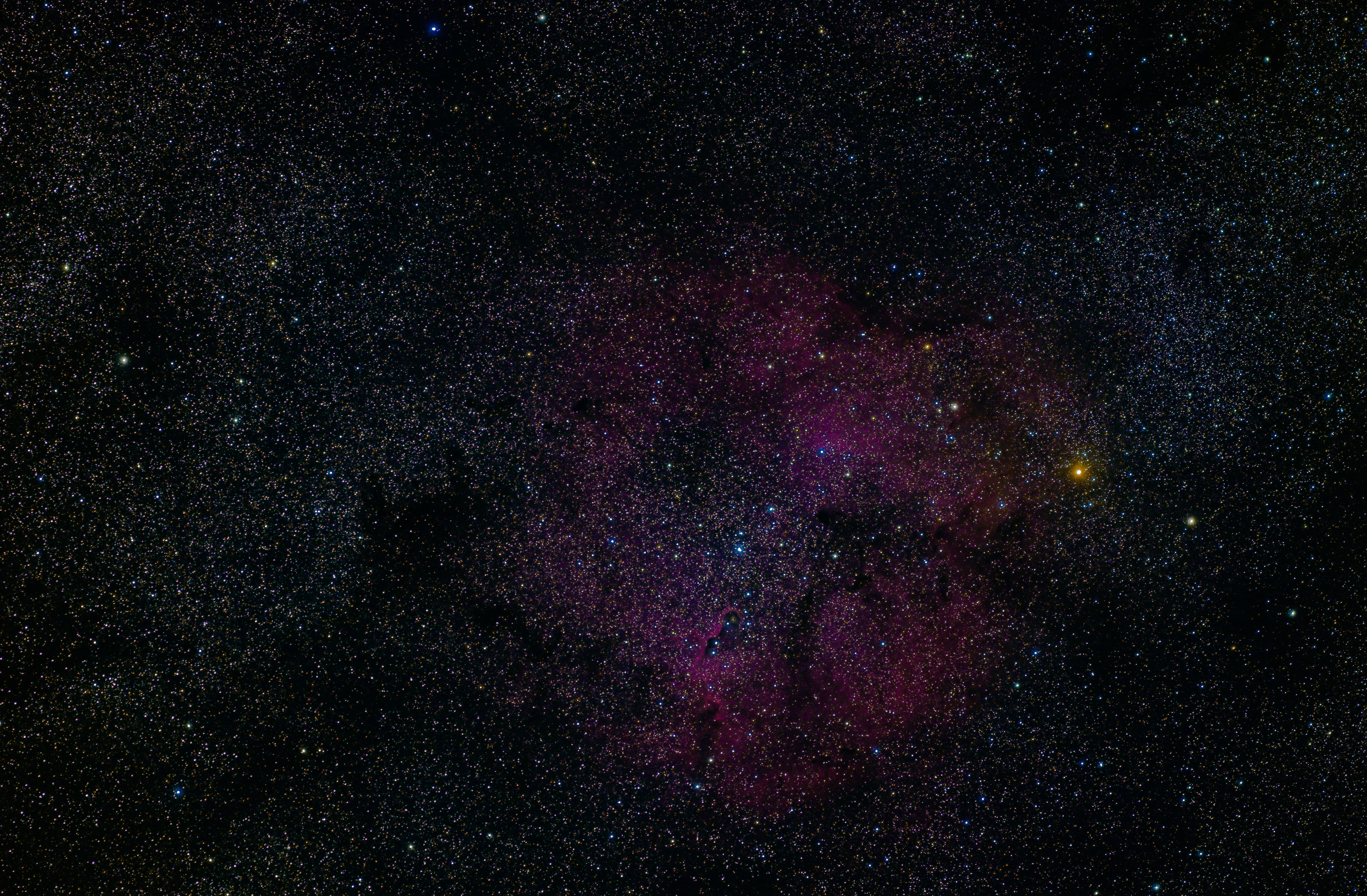 IC1396