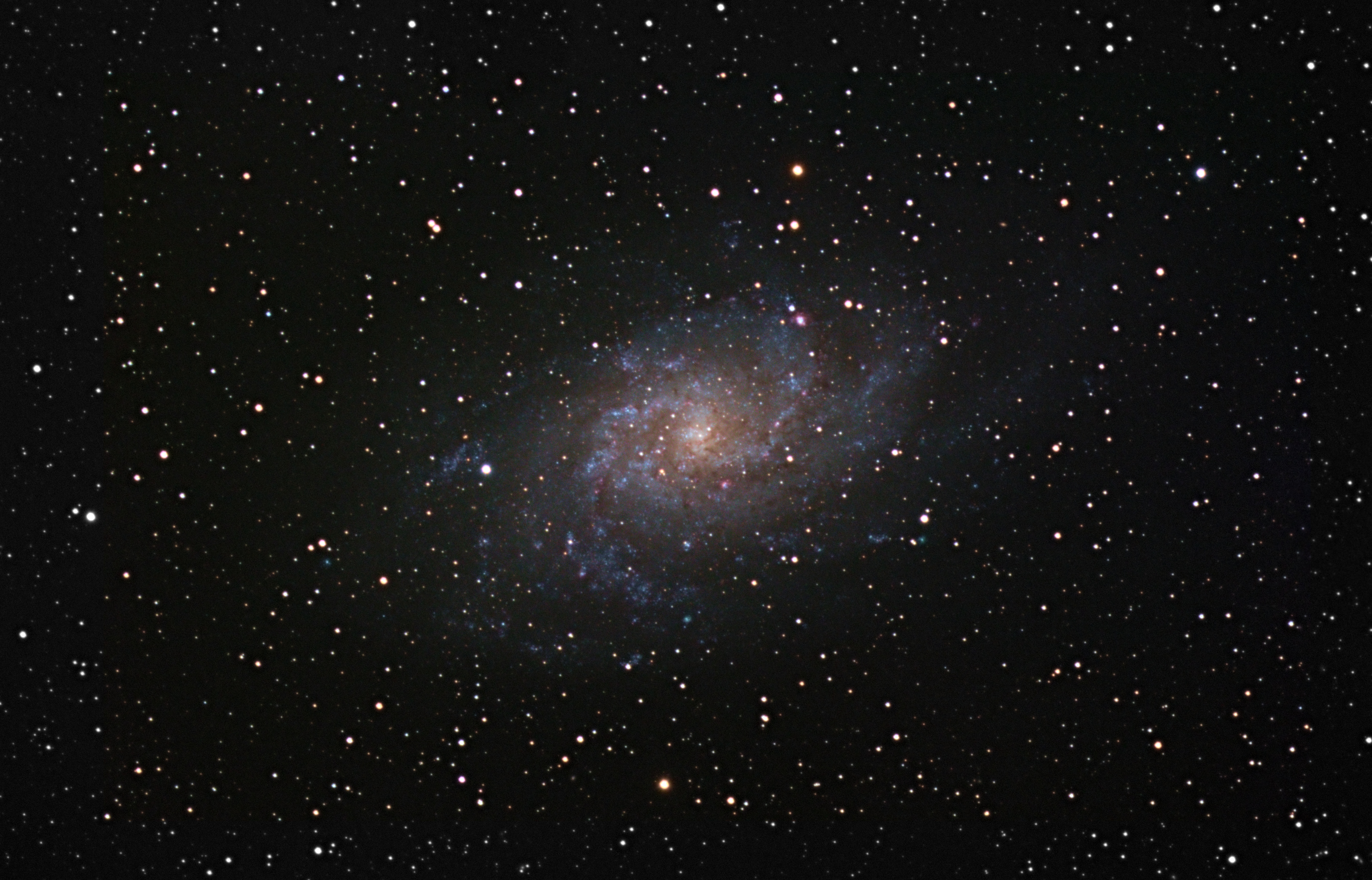 M33