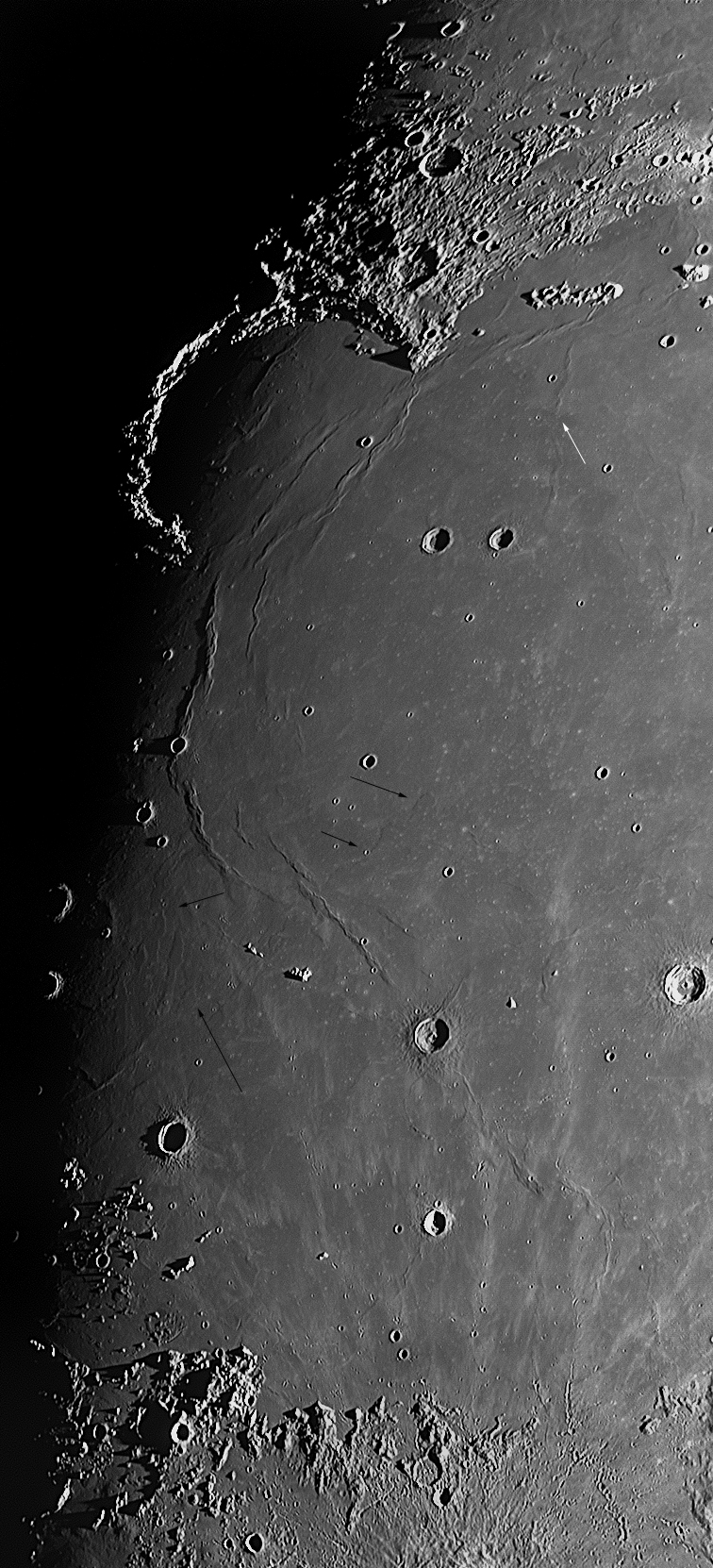 114350_400.jpg